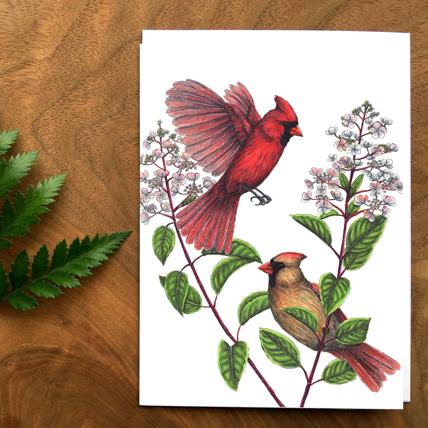 Map - Cardinals and Hydrangea