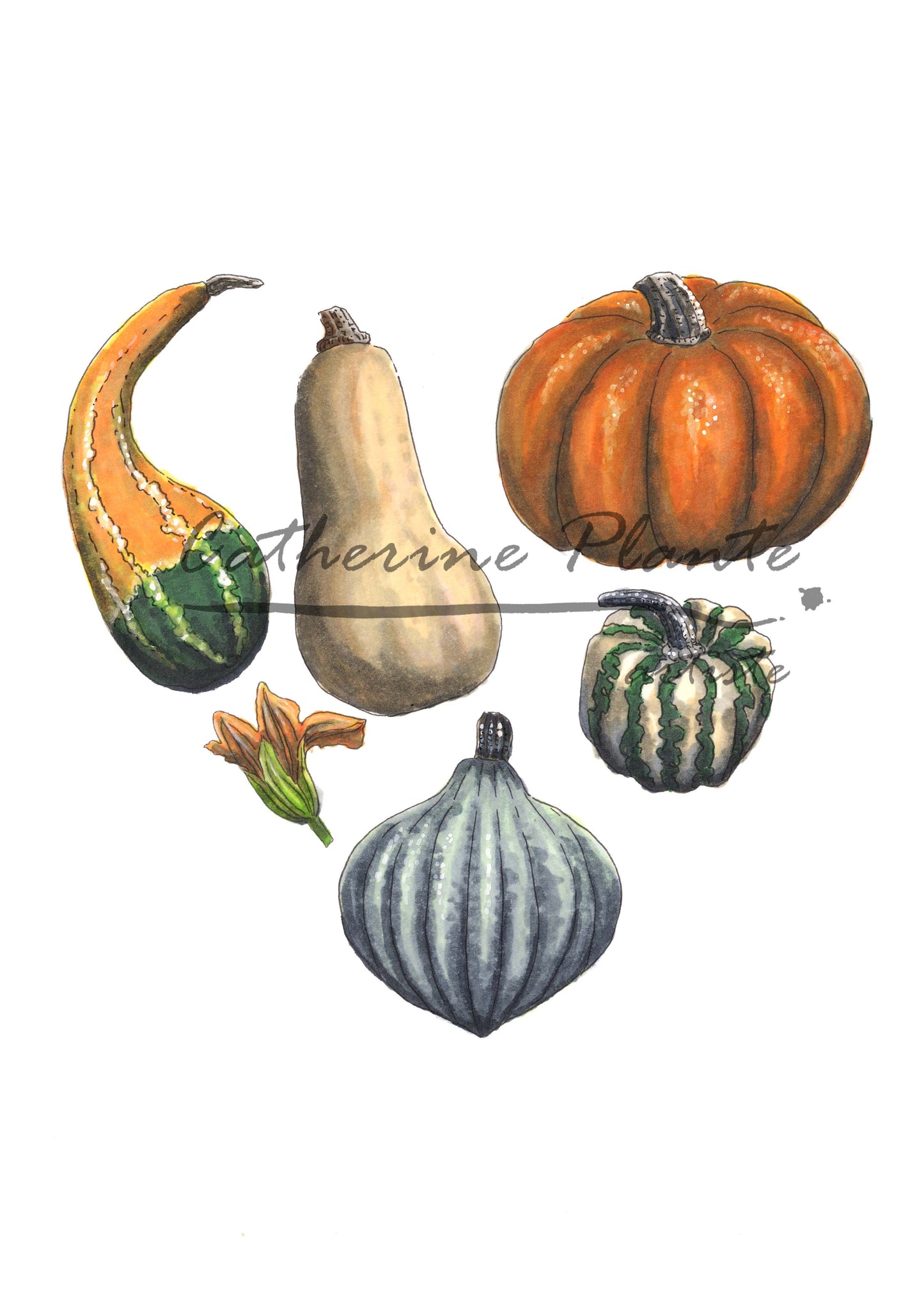 Card - Pumpkin Heart