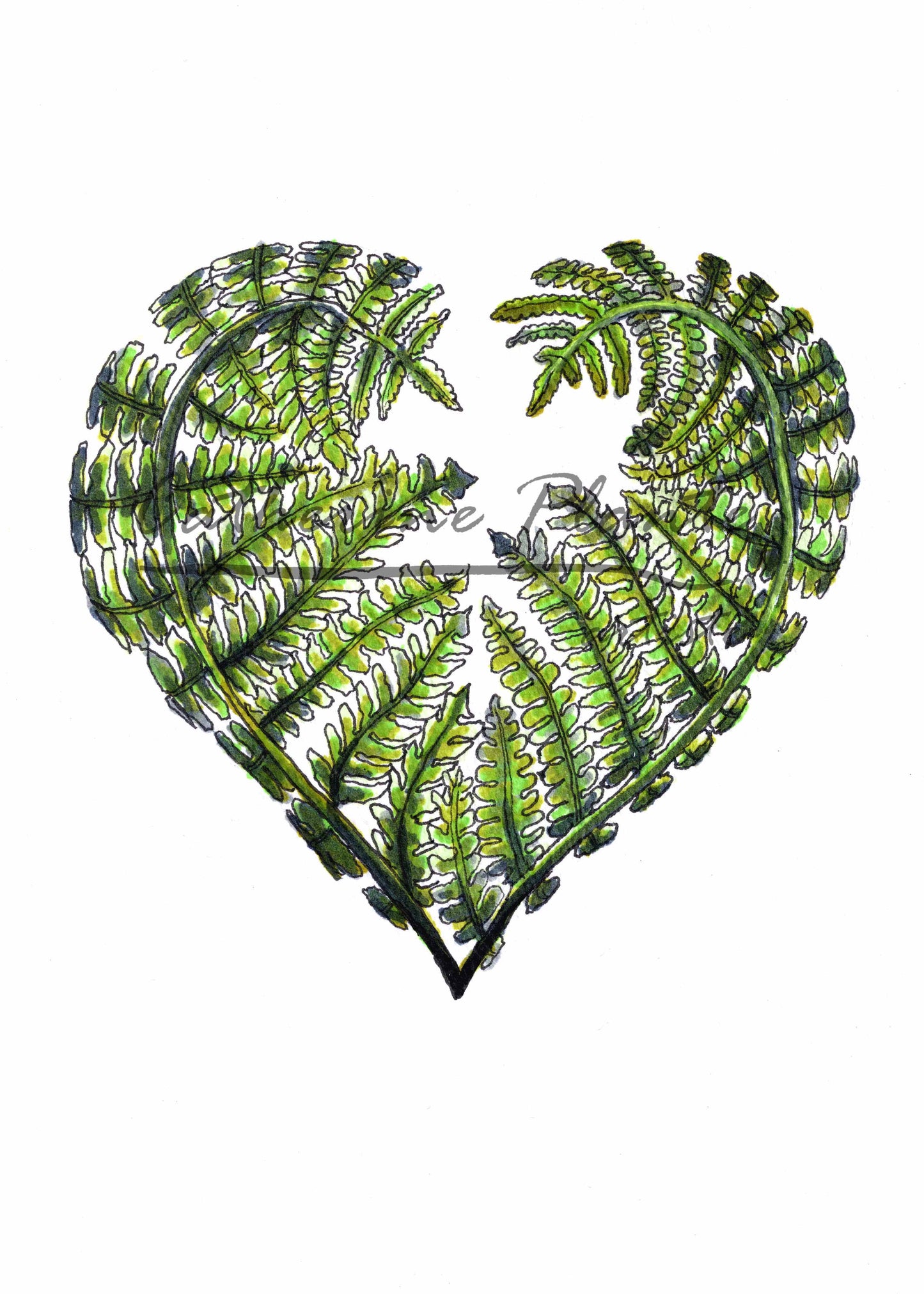Map - Heart of Ferns