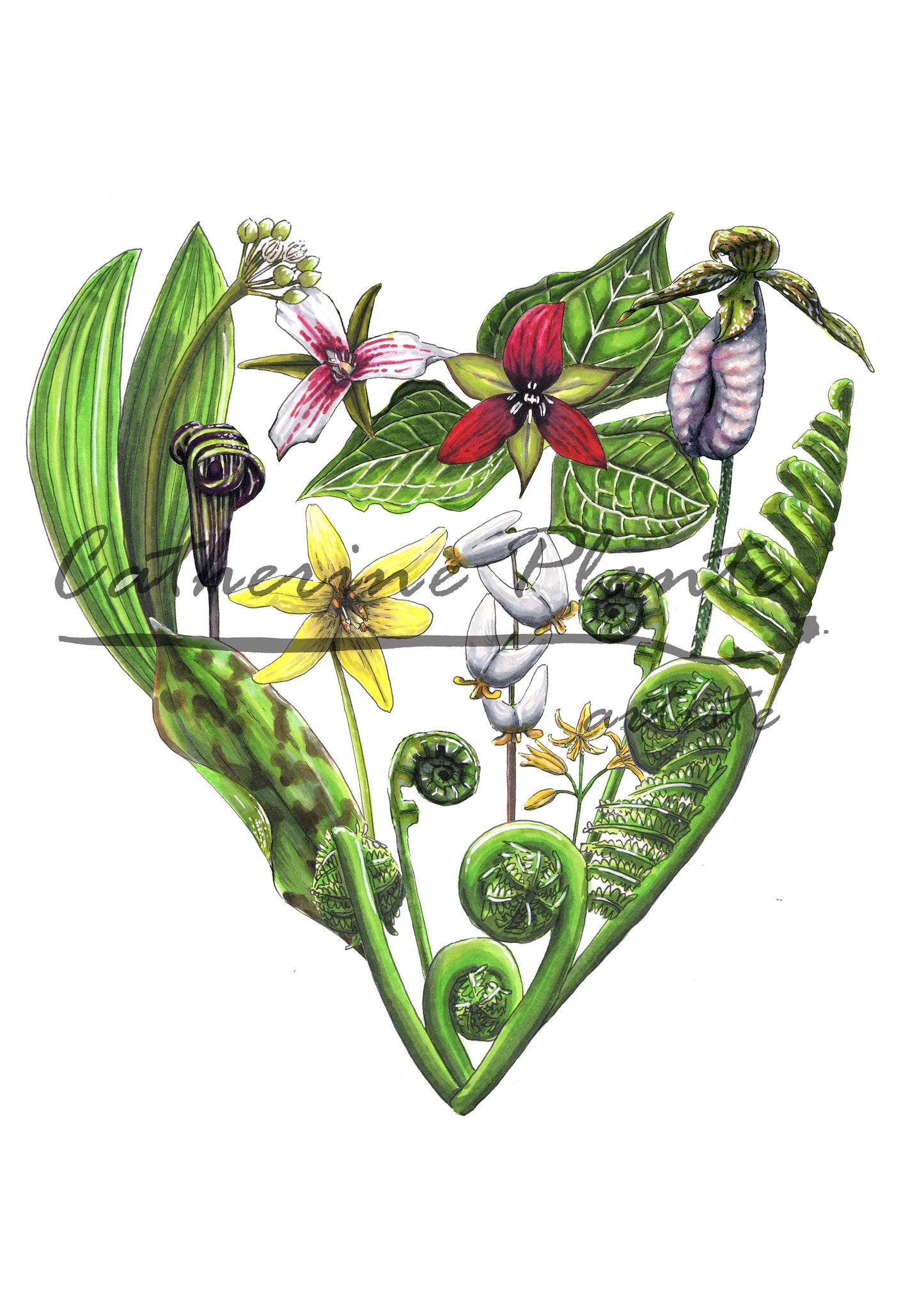 Card - Wildflower Heart