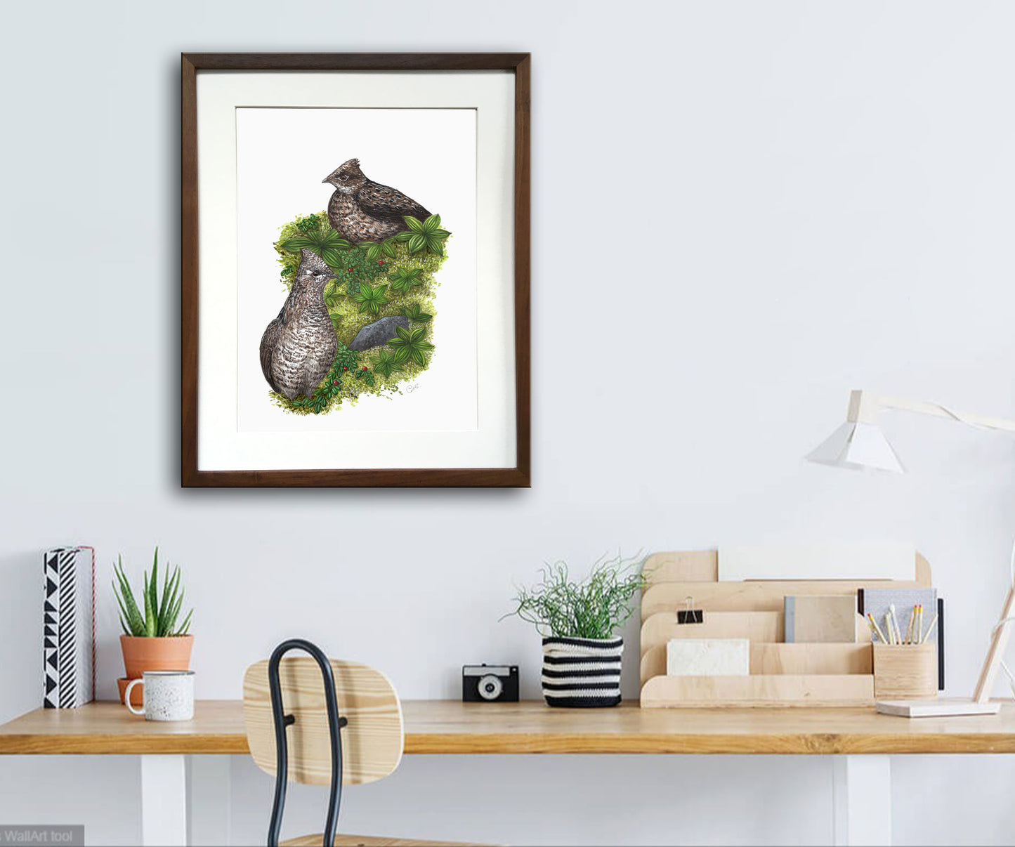 Illustration botanique ou animalière sur papier
