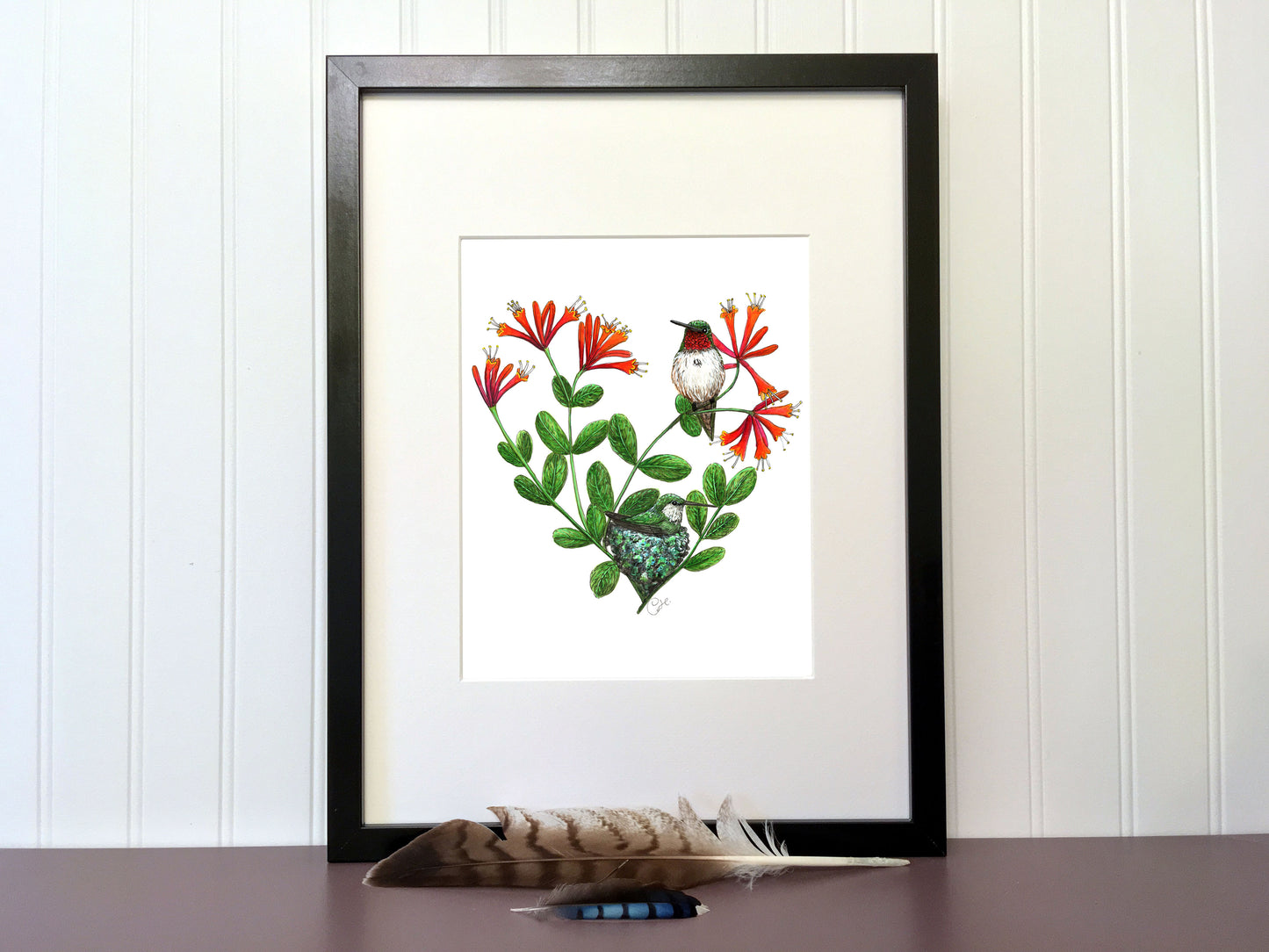 Impression d'art - Le nid des colibris