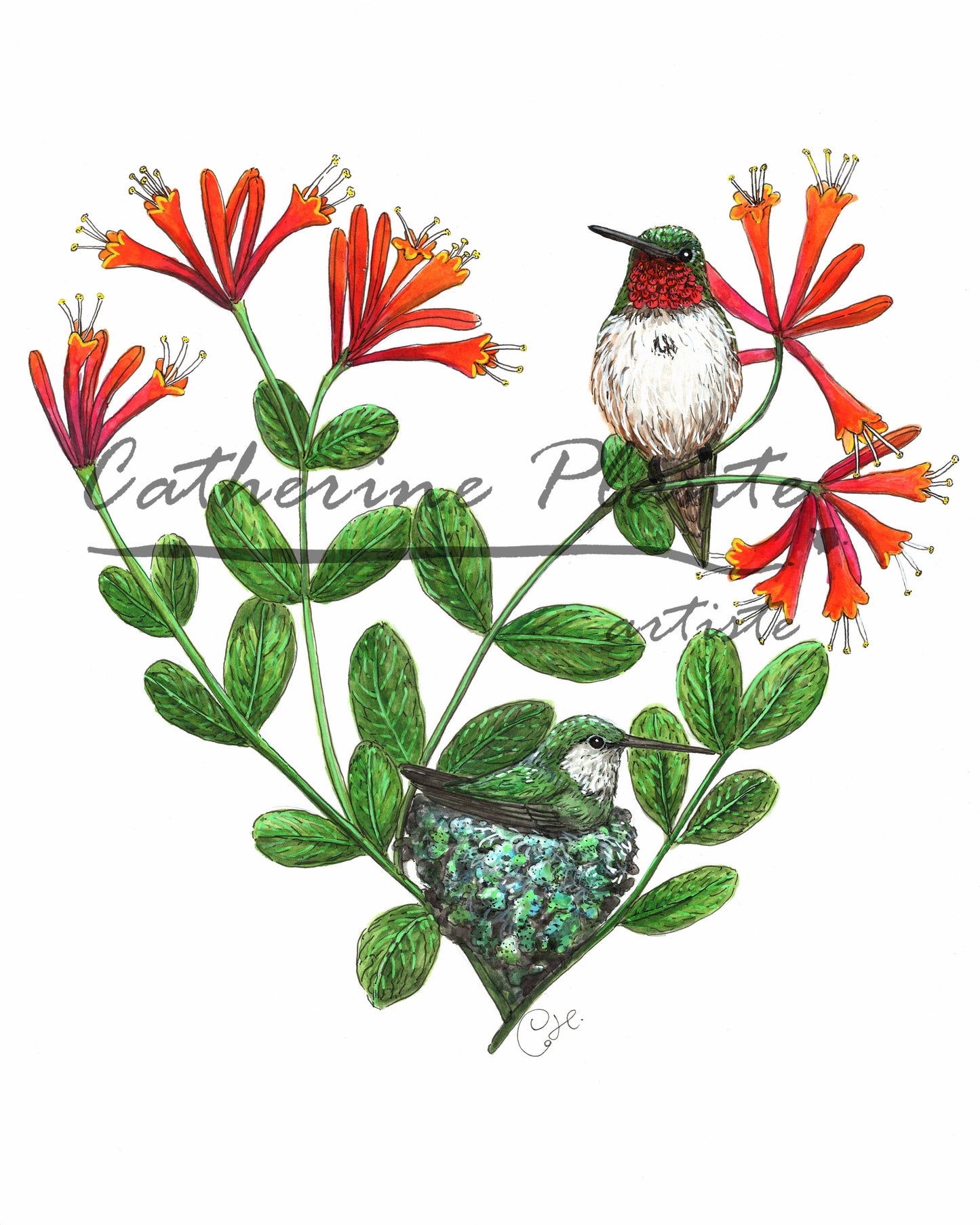 Impression d'art - Le nid des colibris