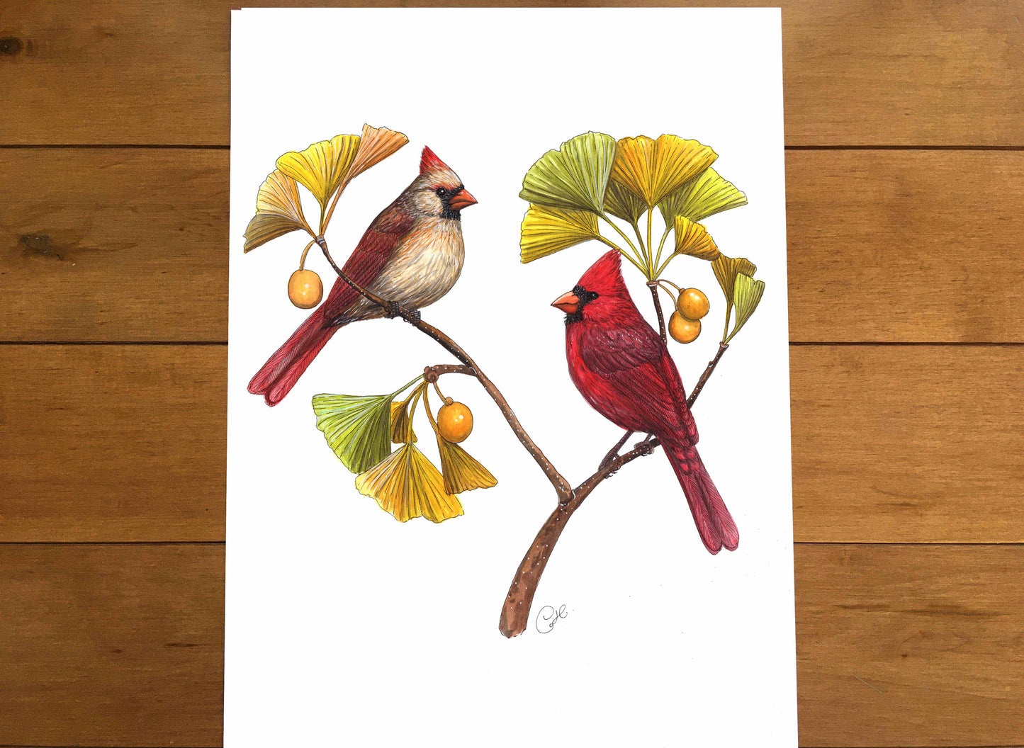 Cardinals and the Ginkgo