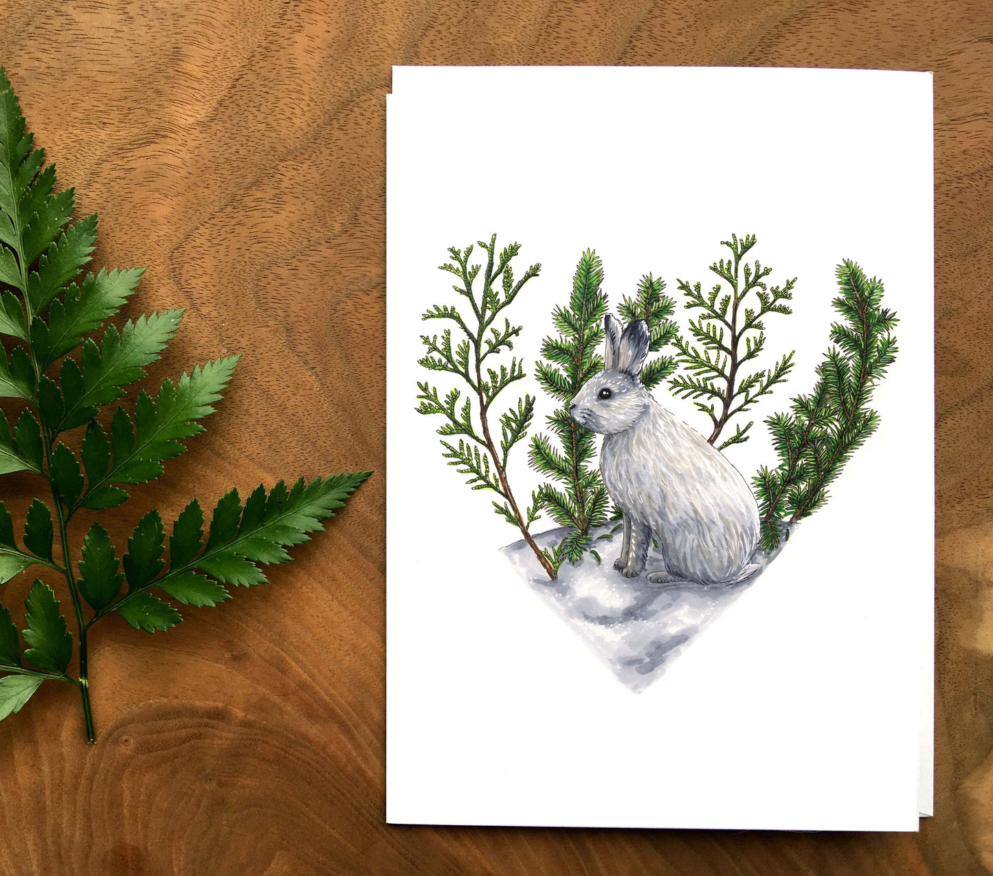 Map - Hare in the heart of winter