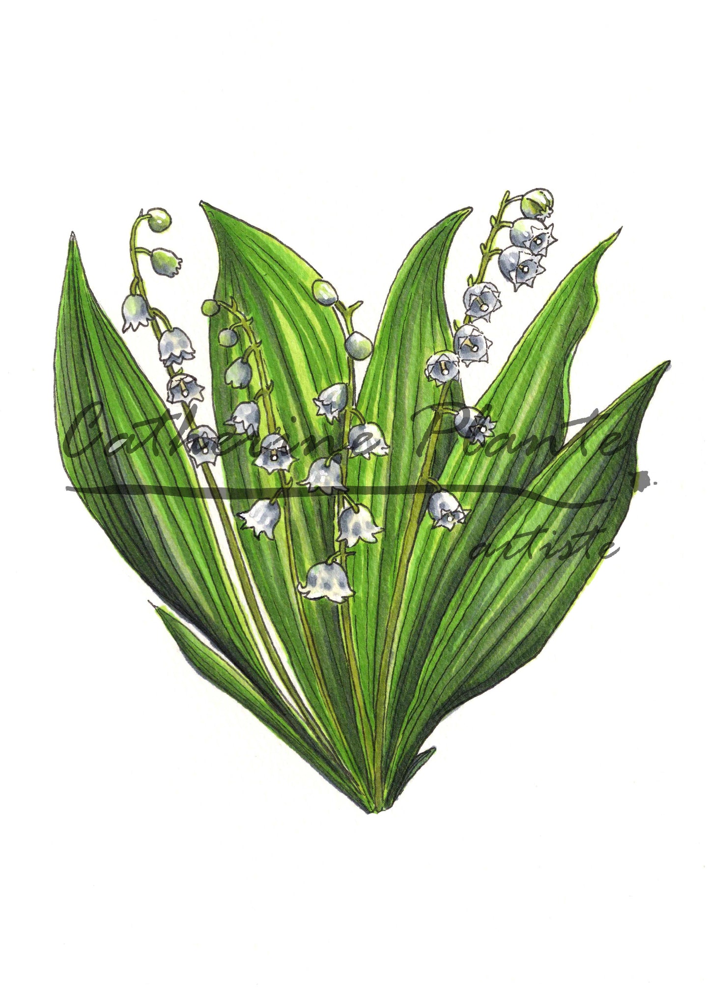 Card - Lily of the Valley Heart