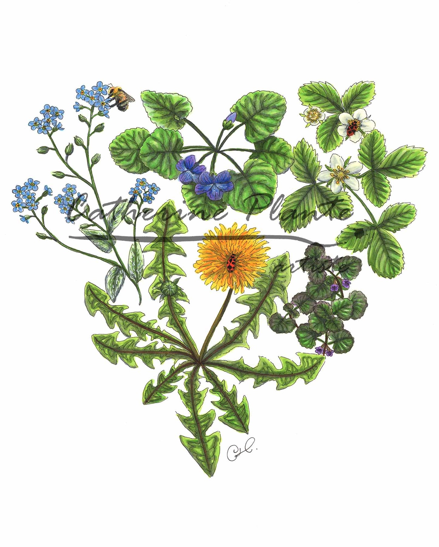 Impression d’art - Ode aux pelouses parfaitement imparfaites