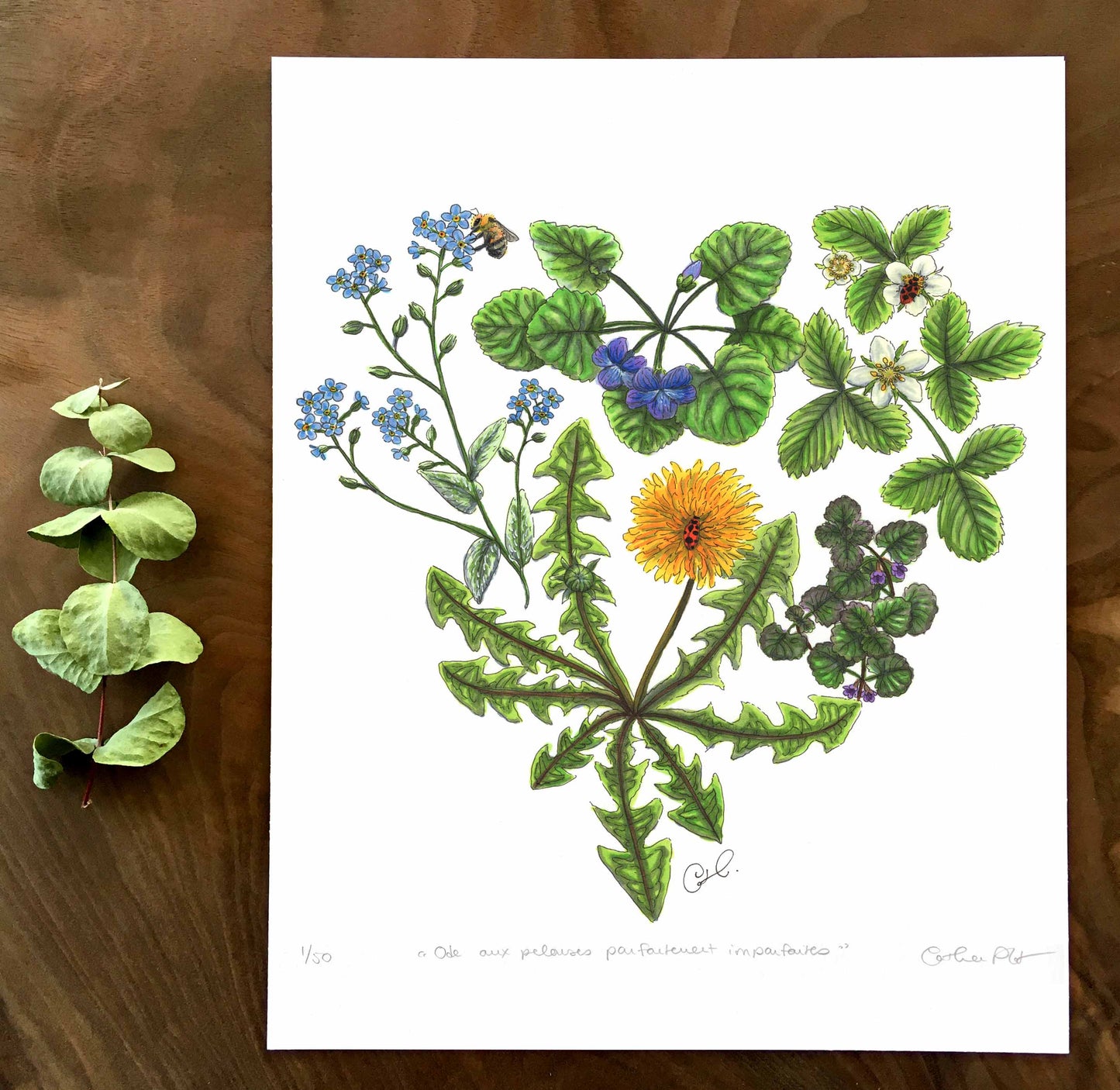 Impression d’art - Ode aux pelouses parfaitement imparfaites
