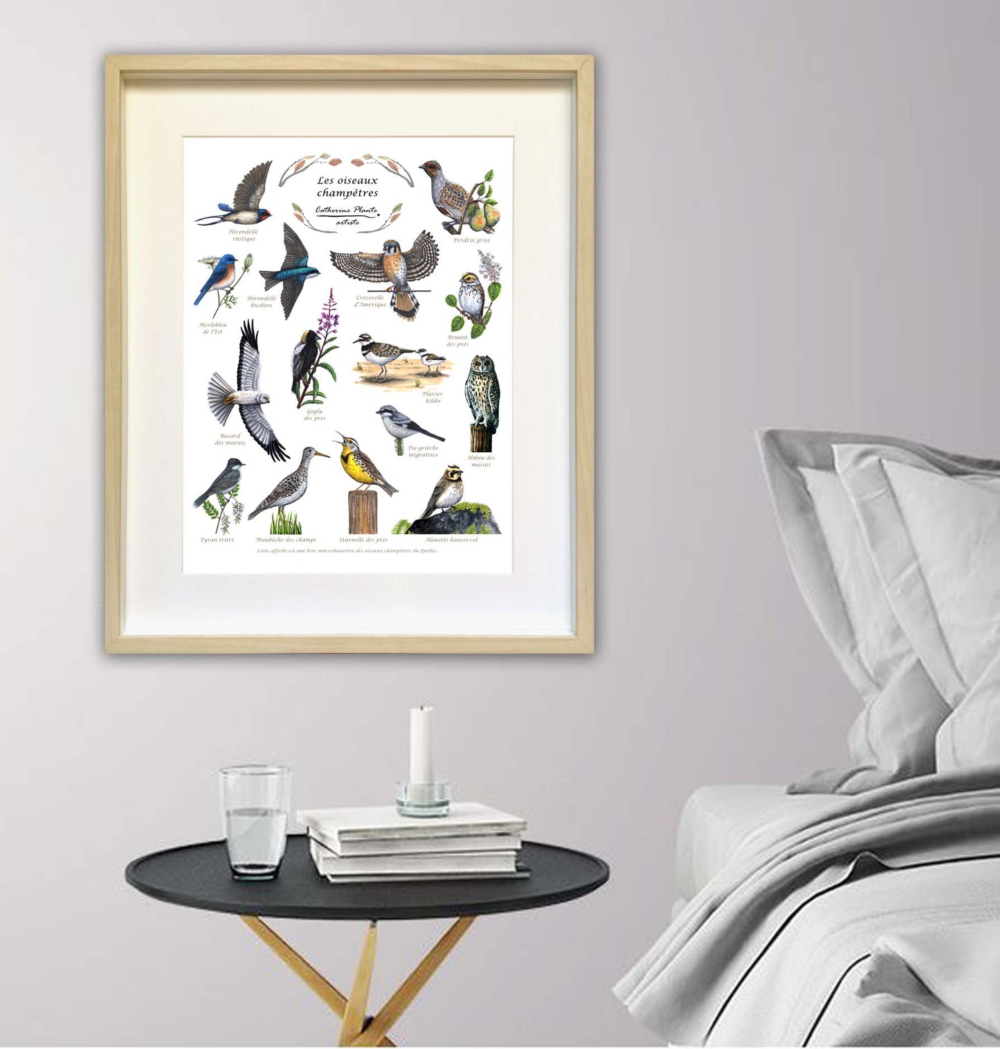 Educational poster - Countryside birds