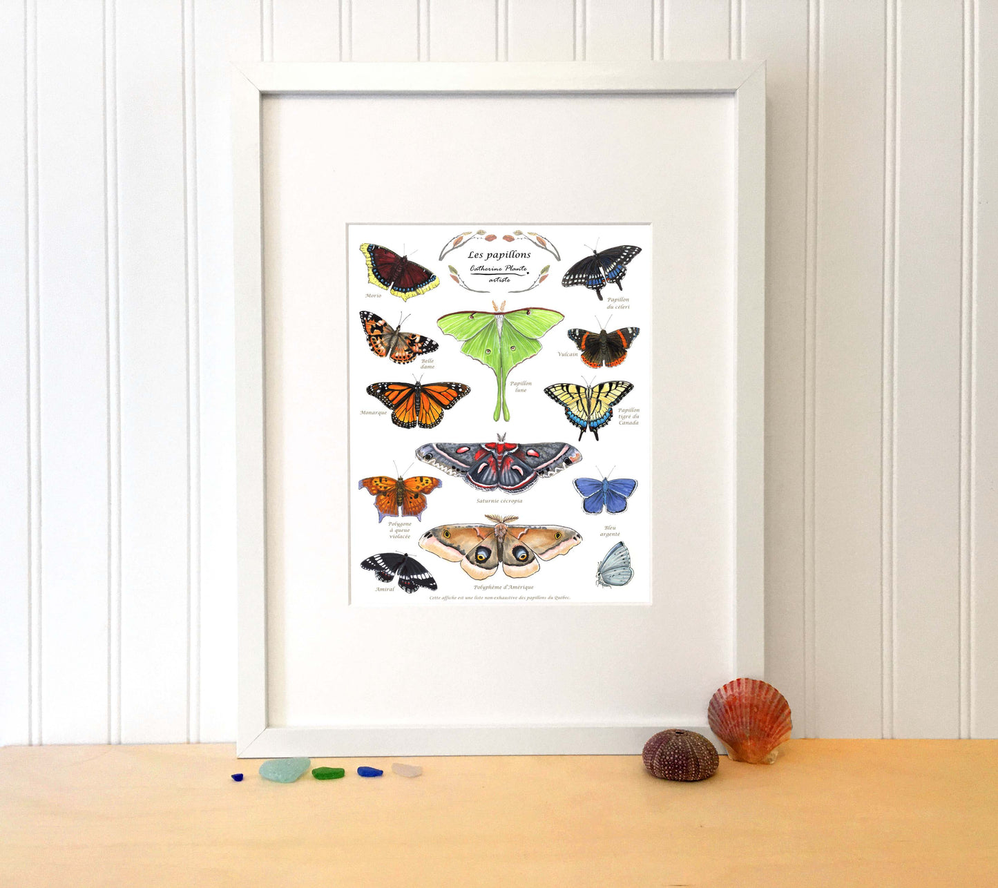 Educational poster - Butterflies