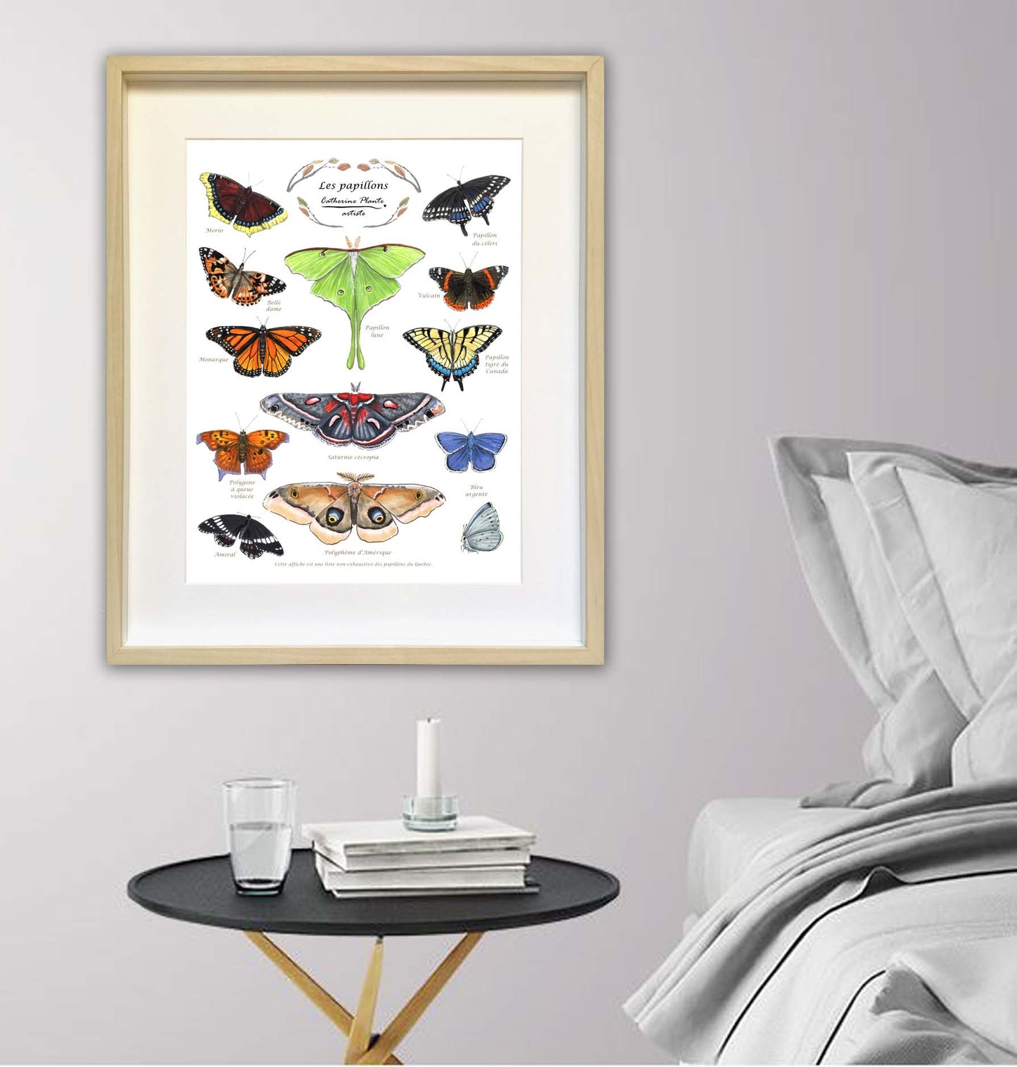 Educational poster - Butterflies