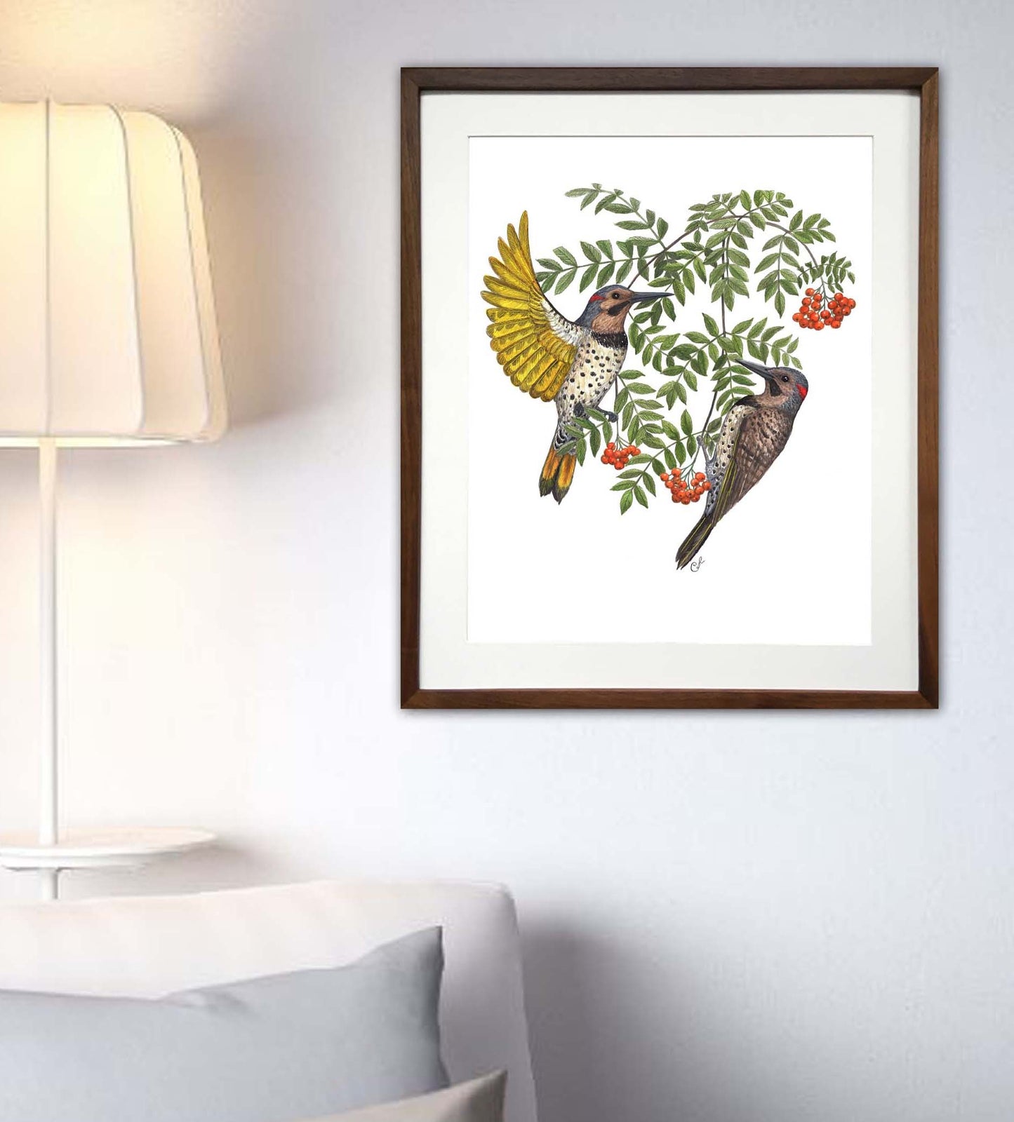 Illustration botanique ou animalière sur papier
