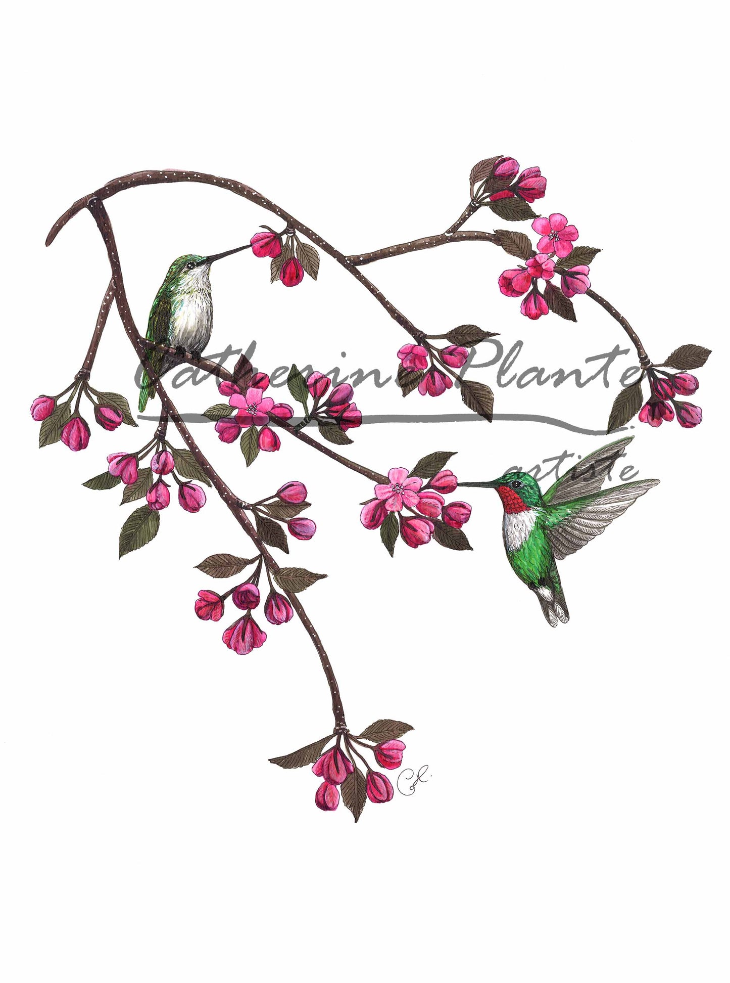 Large Art Print - Floral Poetry