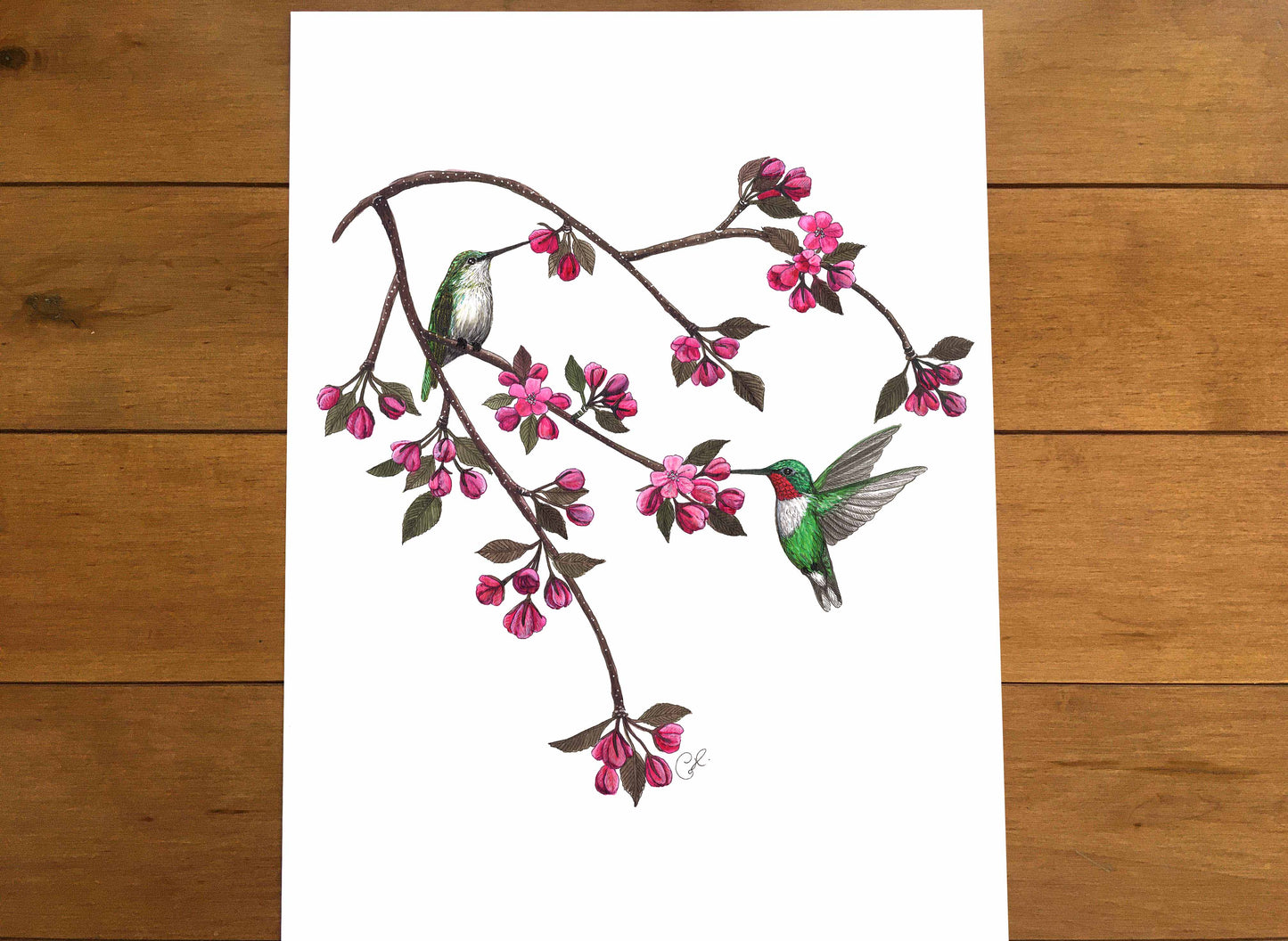 Large Art Print - Floral Poetry