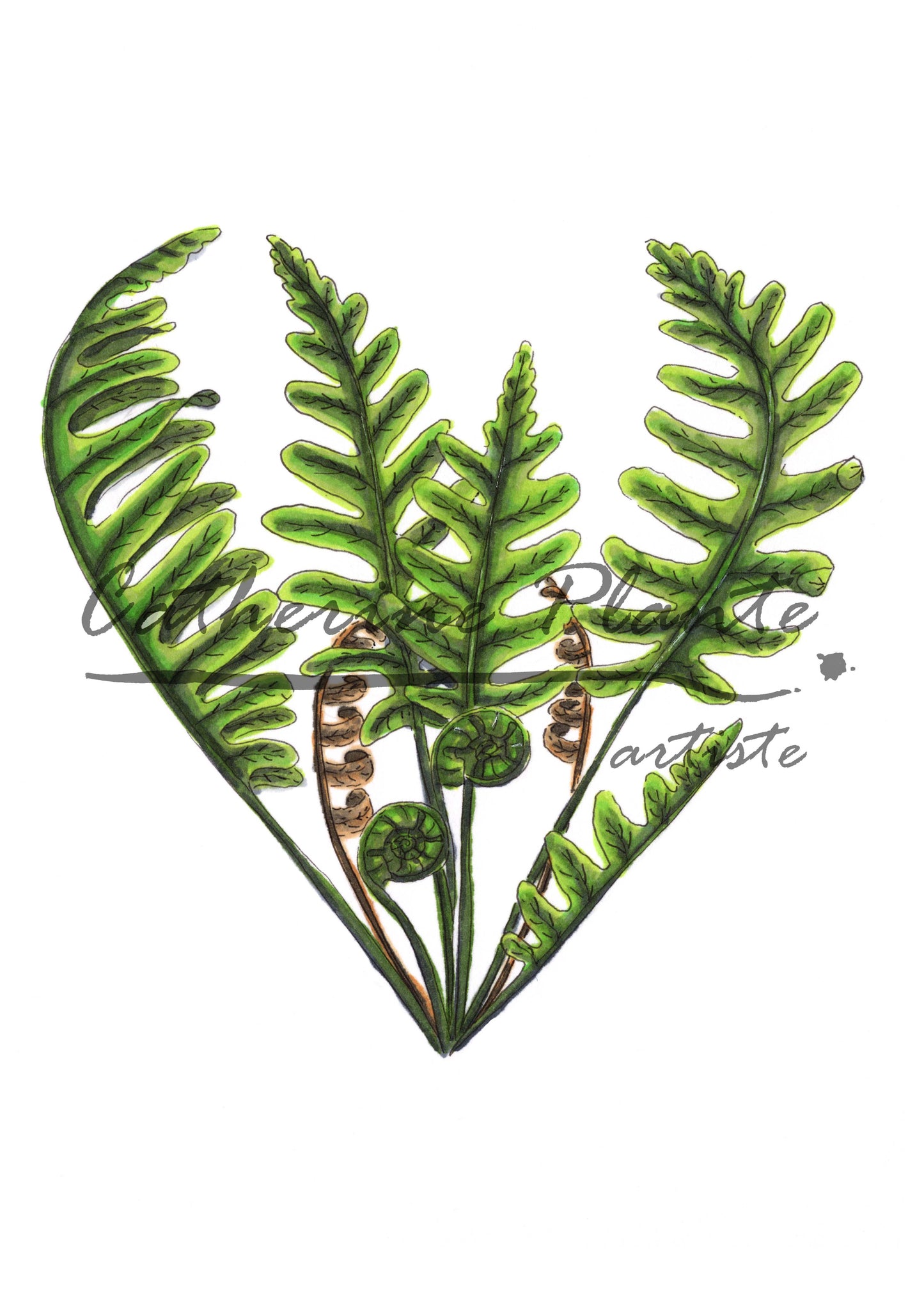 Map - Heart of Polypods