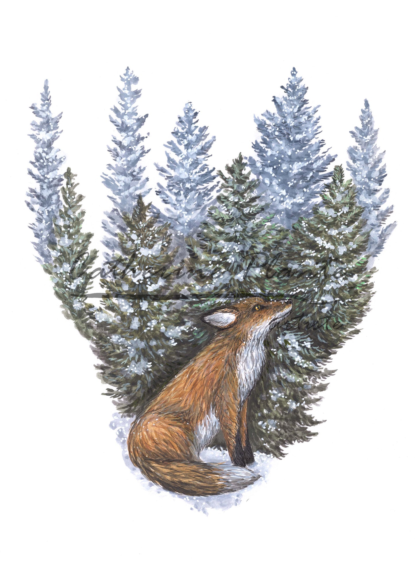 Map - Fox with a Boreal Heart