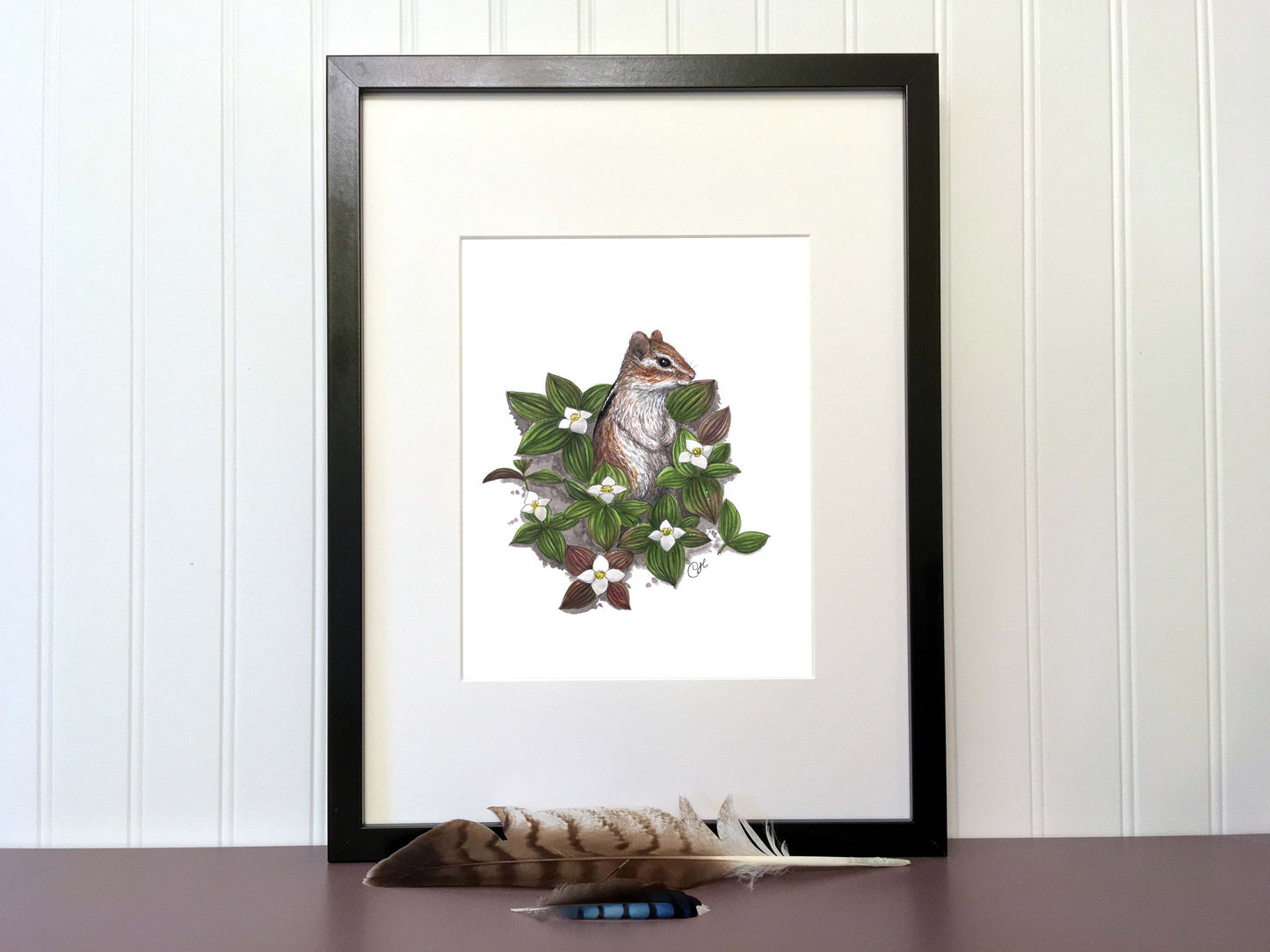 Illustration originale - Le tamia et les quatre-temps