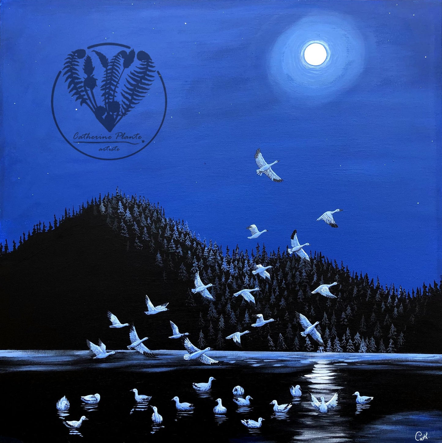 Peinture originale - Vol de nuit