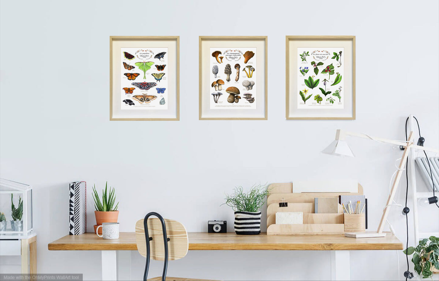 Triptyque d'affiches éducatives