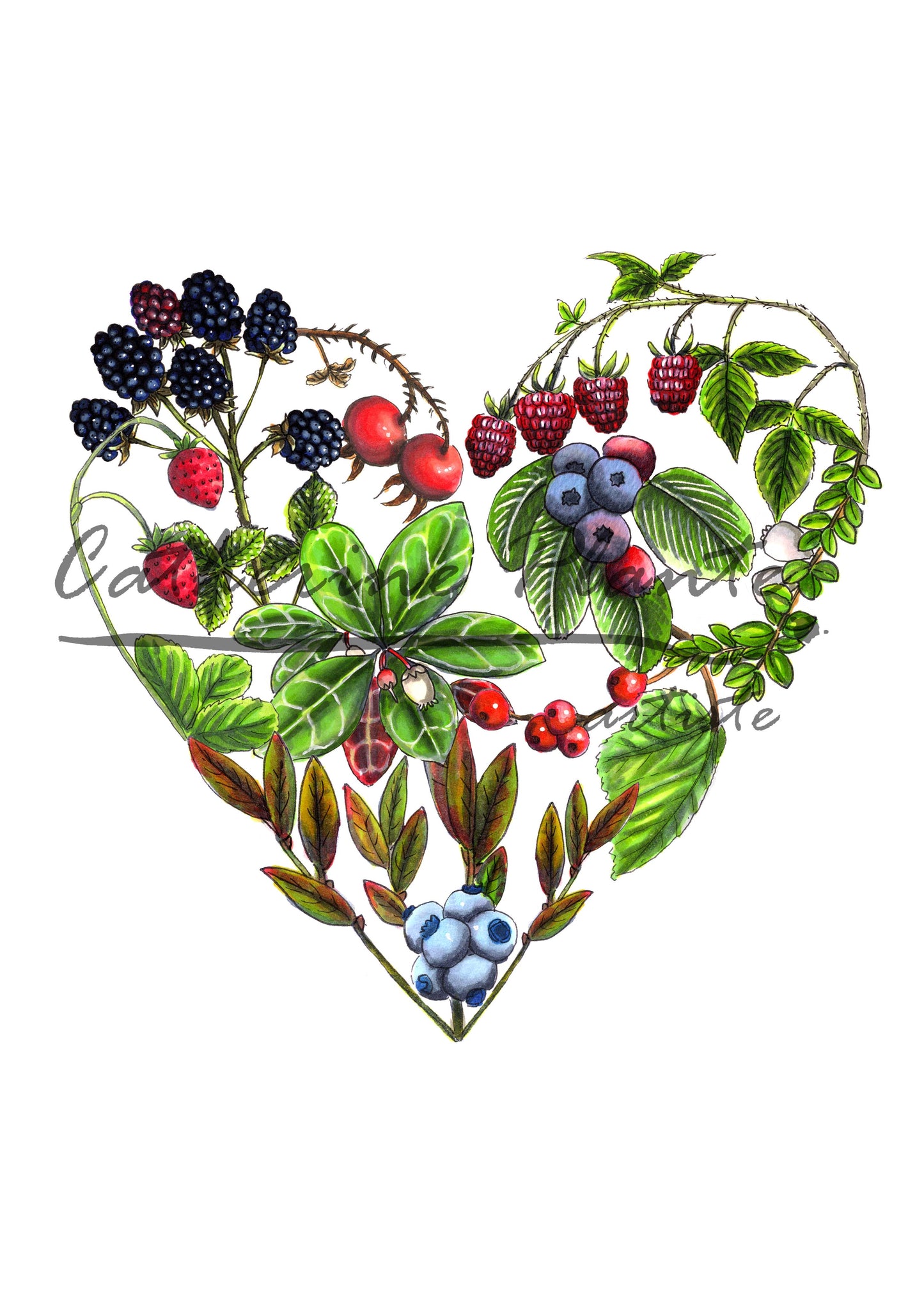 Carte - Coeur de petits fruits