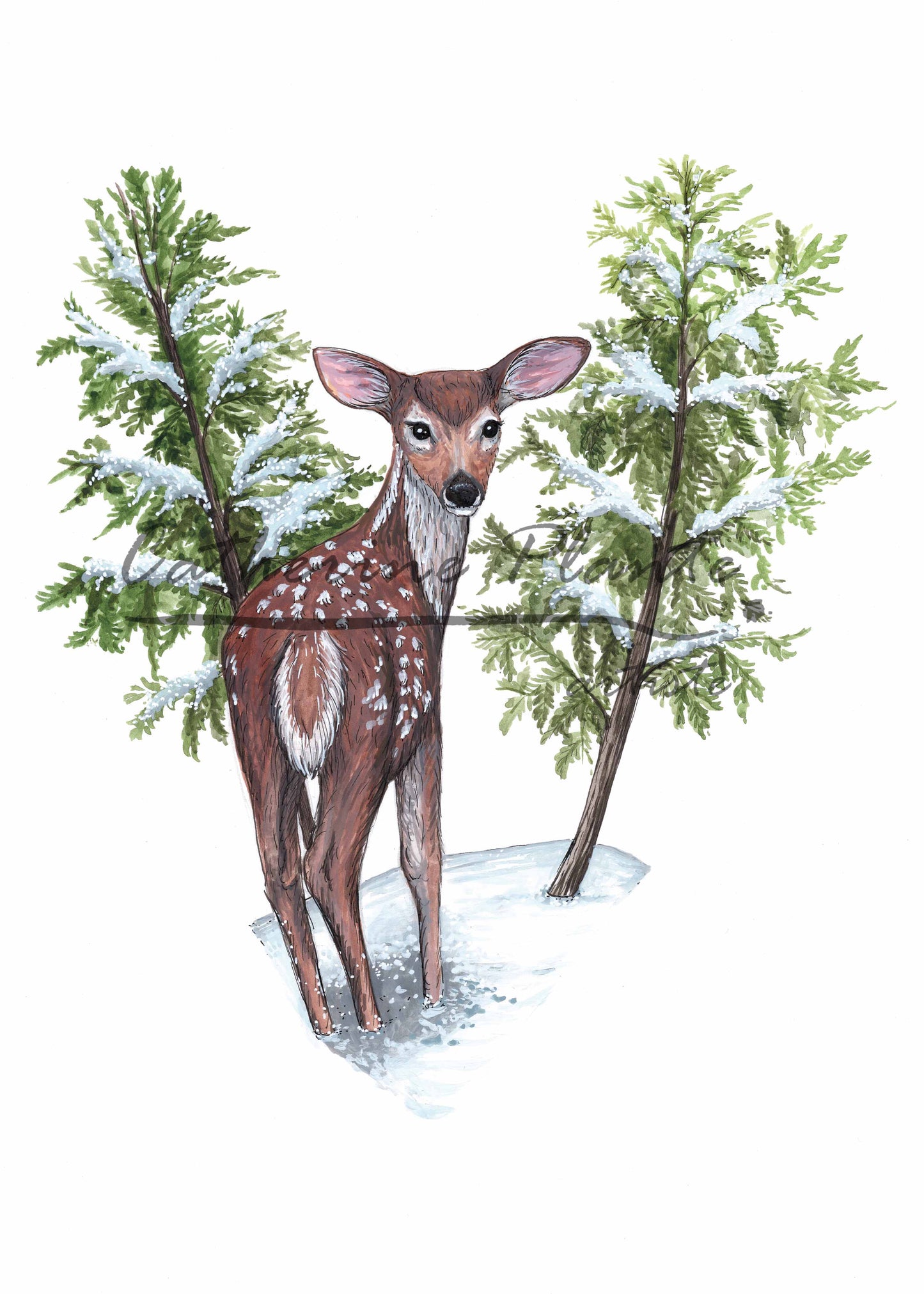 Map - Fawn in the heart of winter