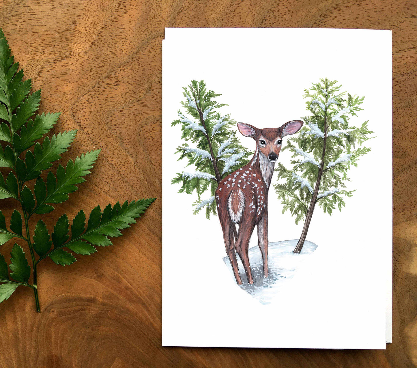 Map - Fawn in the heart of winter