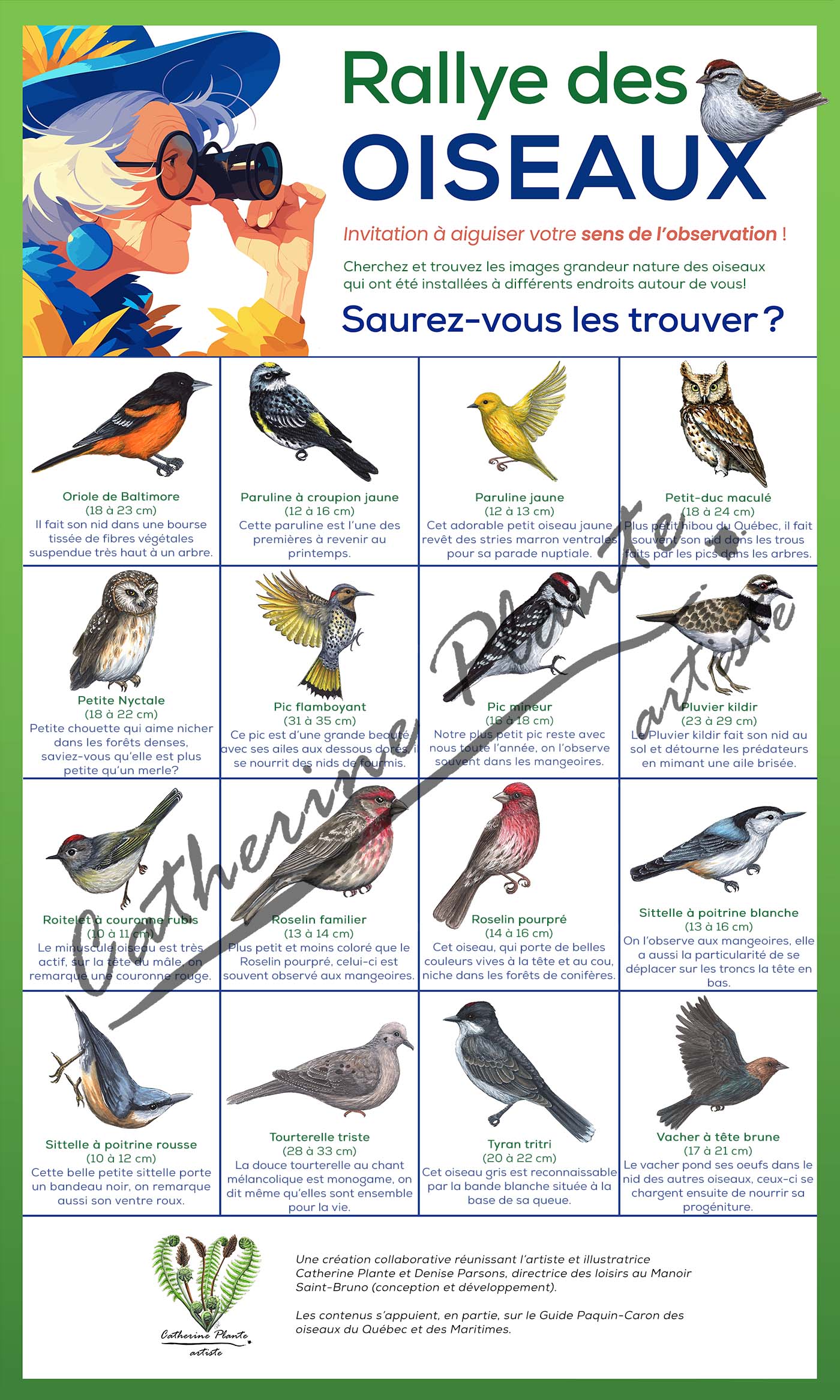 Rallye d'oiseaux - Modèle Deluxe: Ornithologue passionné