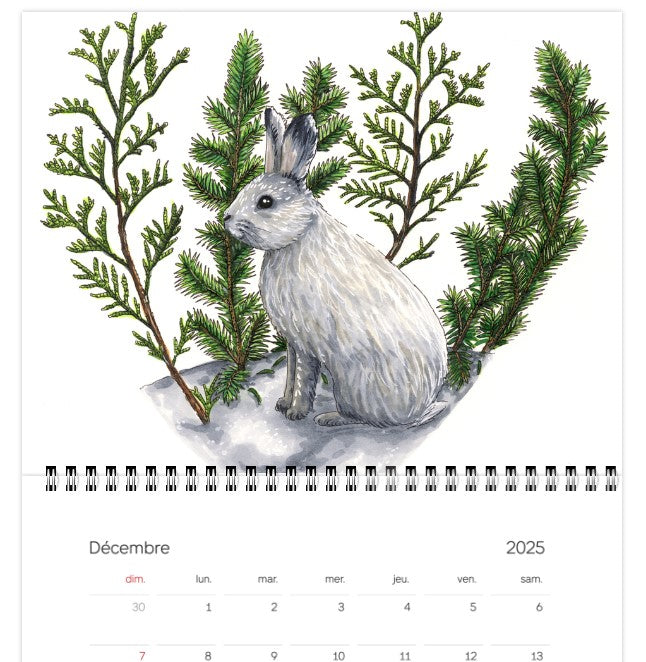 2025 Calendar