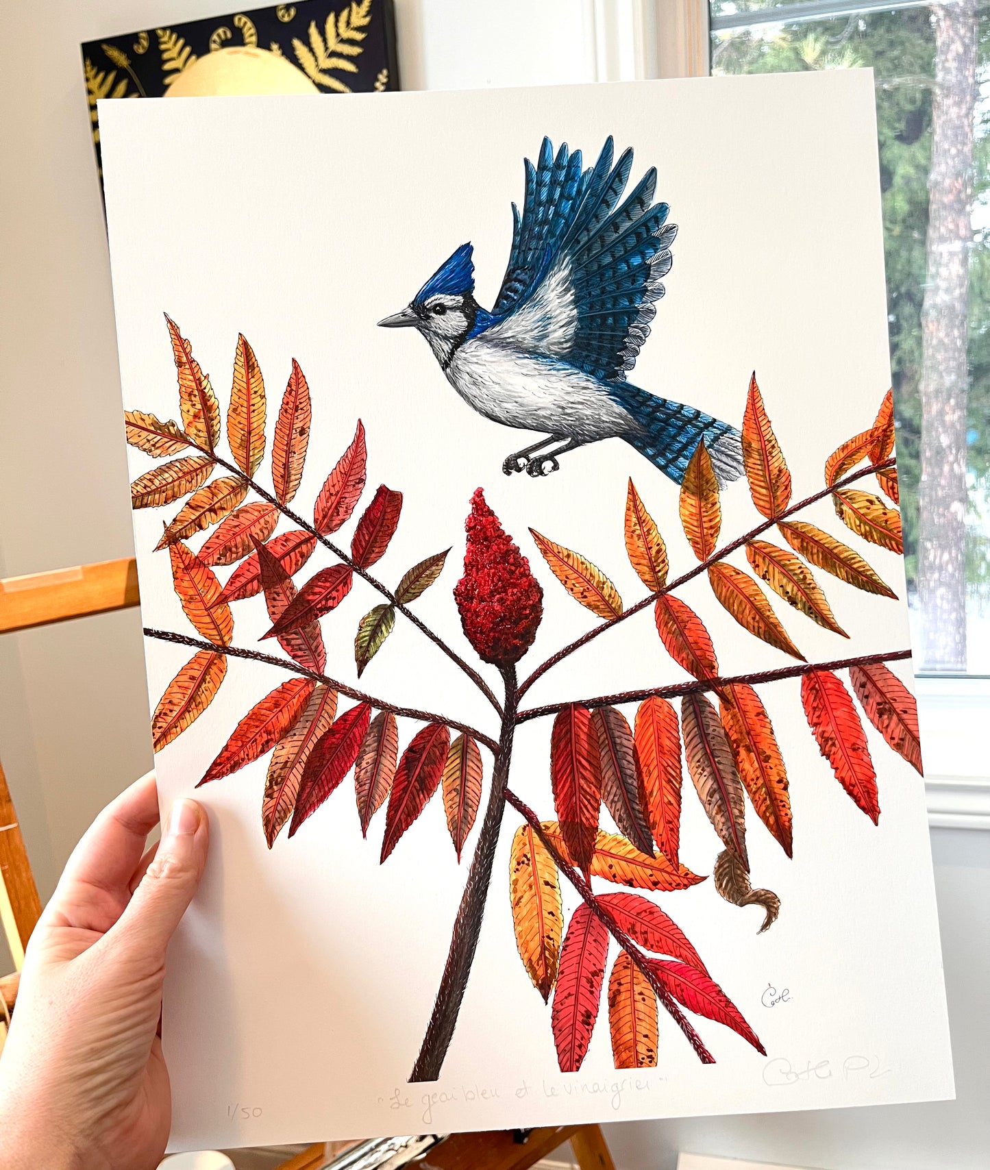 Grande impression d'art - Le geai bleu et le vinaigrier