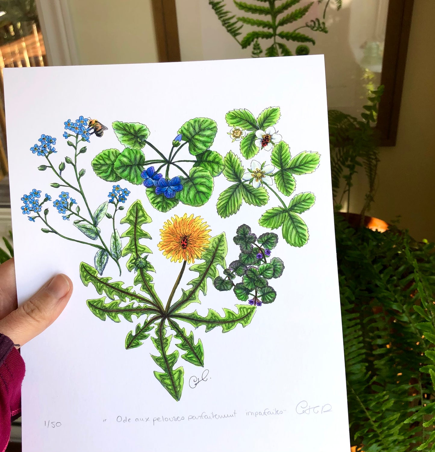 Impression d’art - Ode aux pelouses parfaitement imparfaites
