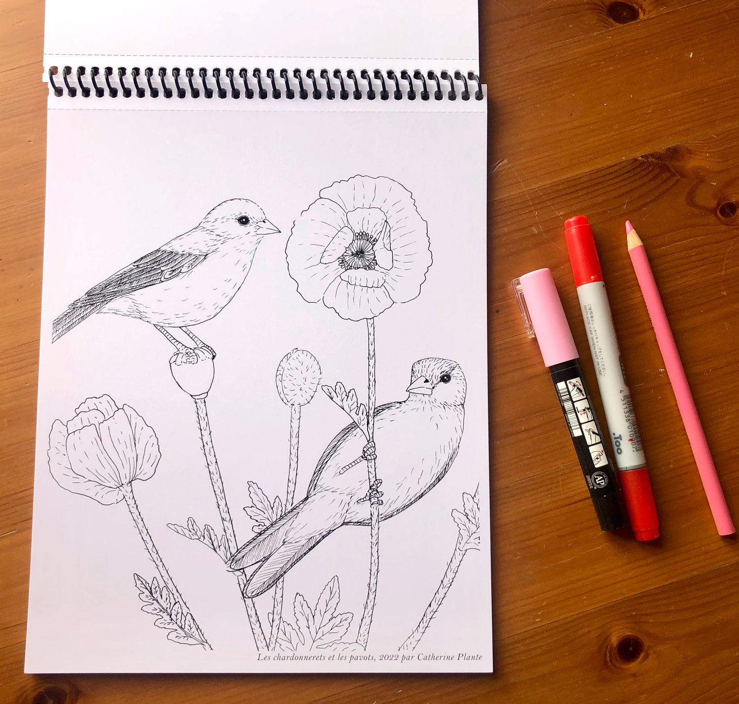 Coloring Book - Birds in Our Gardens