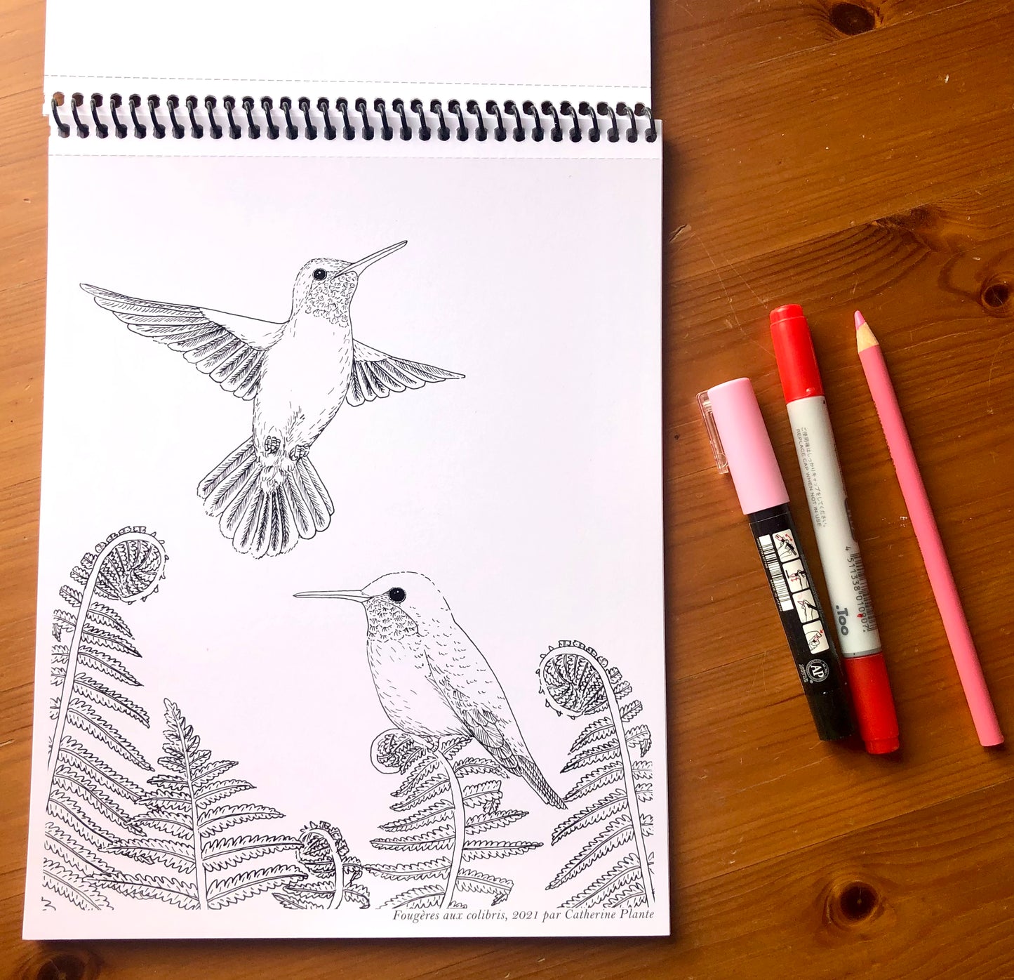 Coloring Book - Birds in Our Gardens