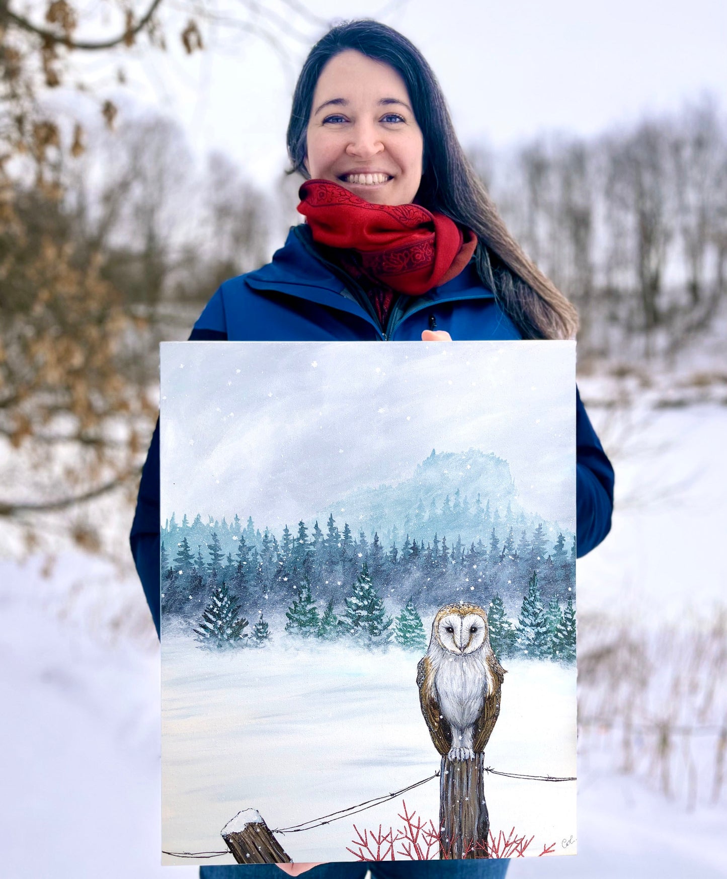 Peinture originale - Chouette effraie sous la neige