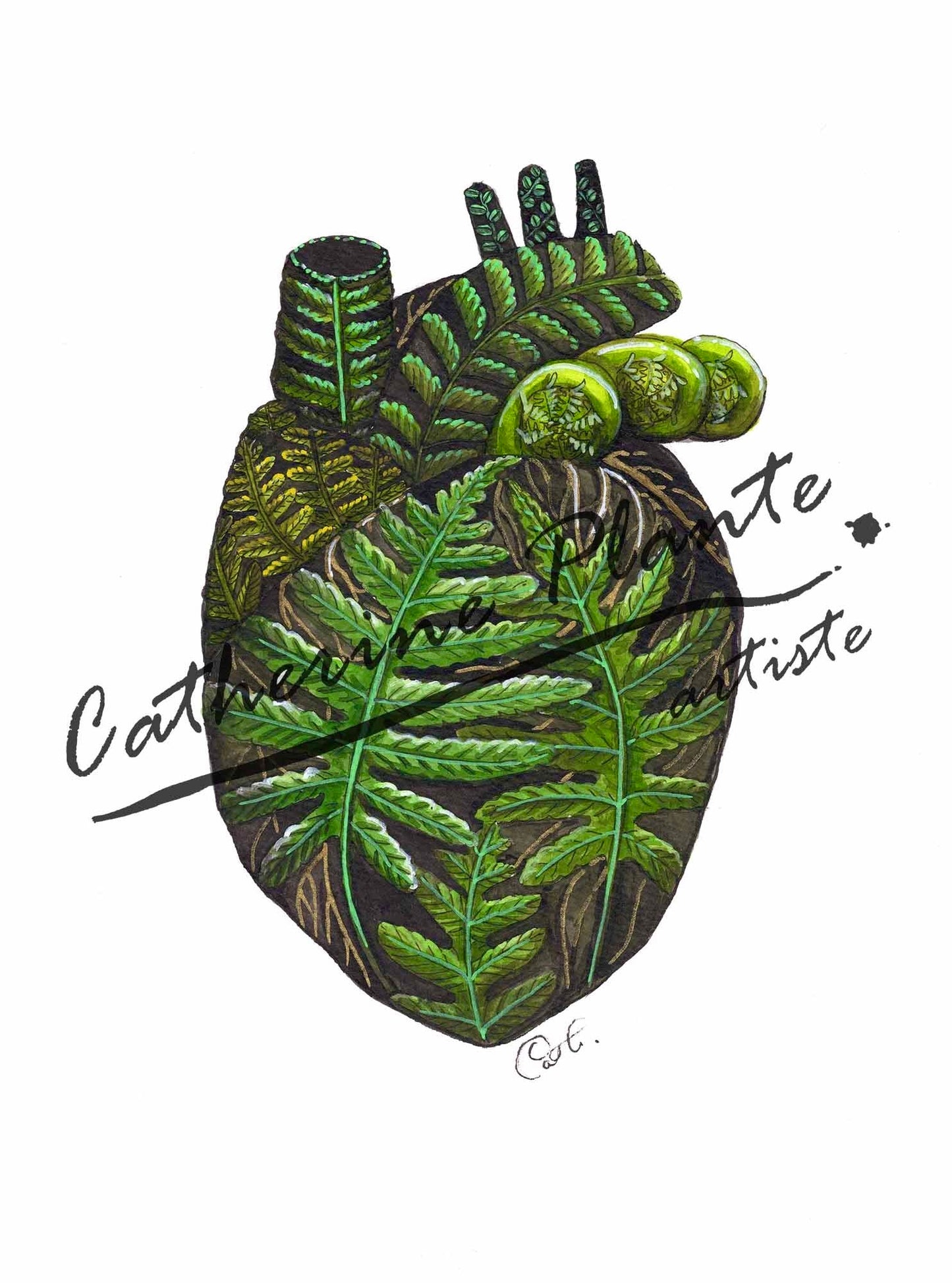 Impression d'art - Le coeur plein de fougères no1