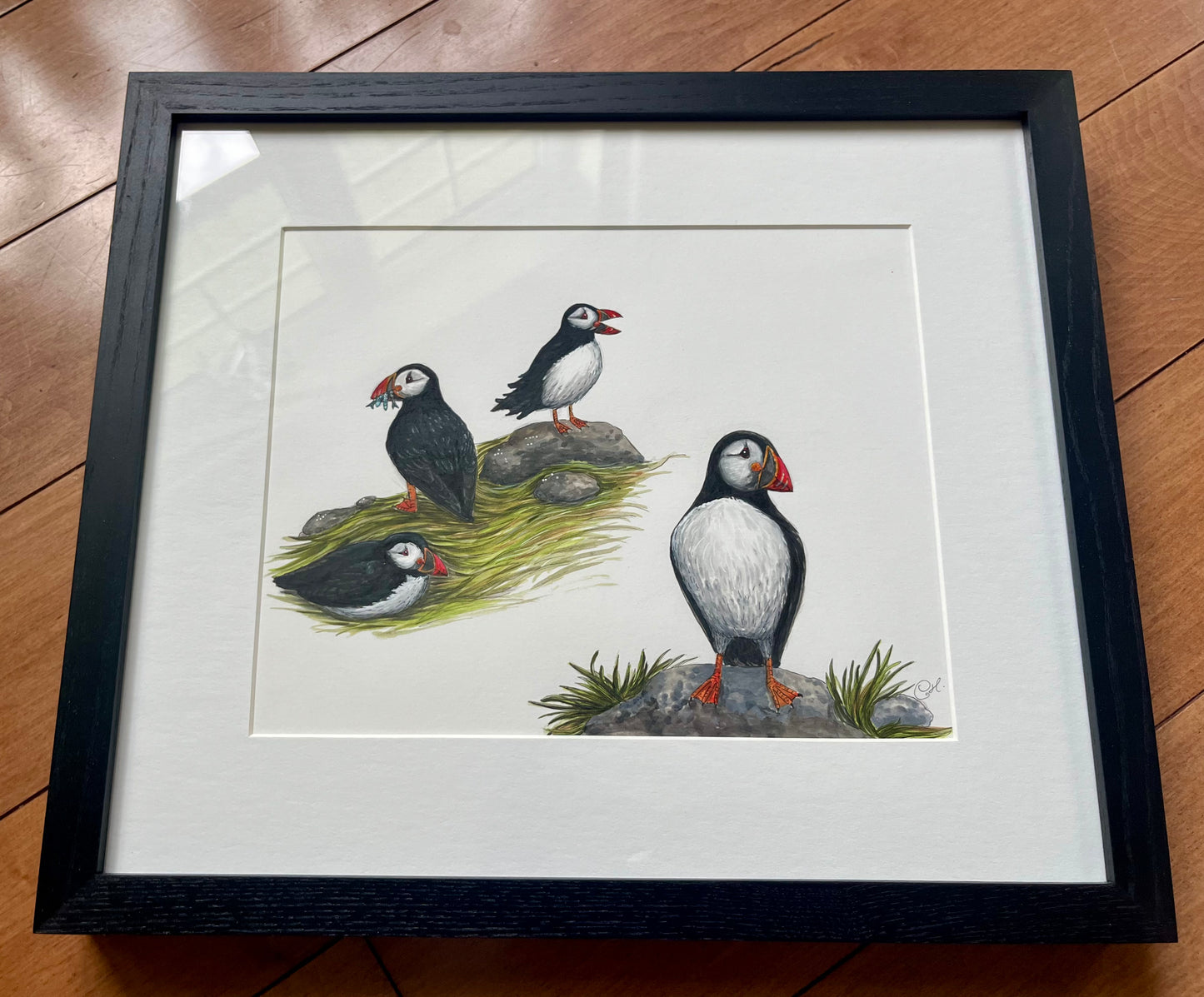 Illustration originale - Les macareux