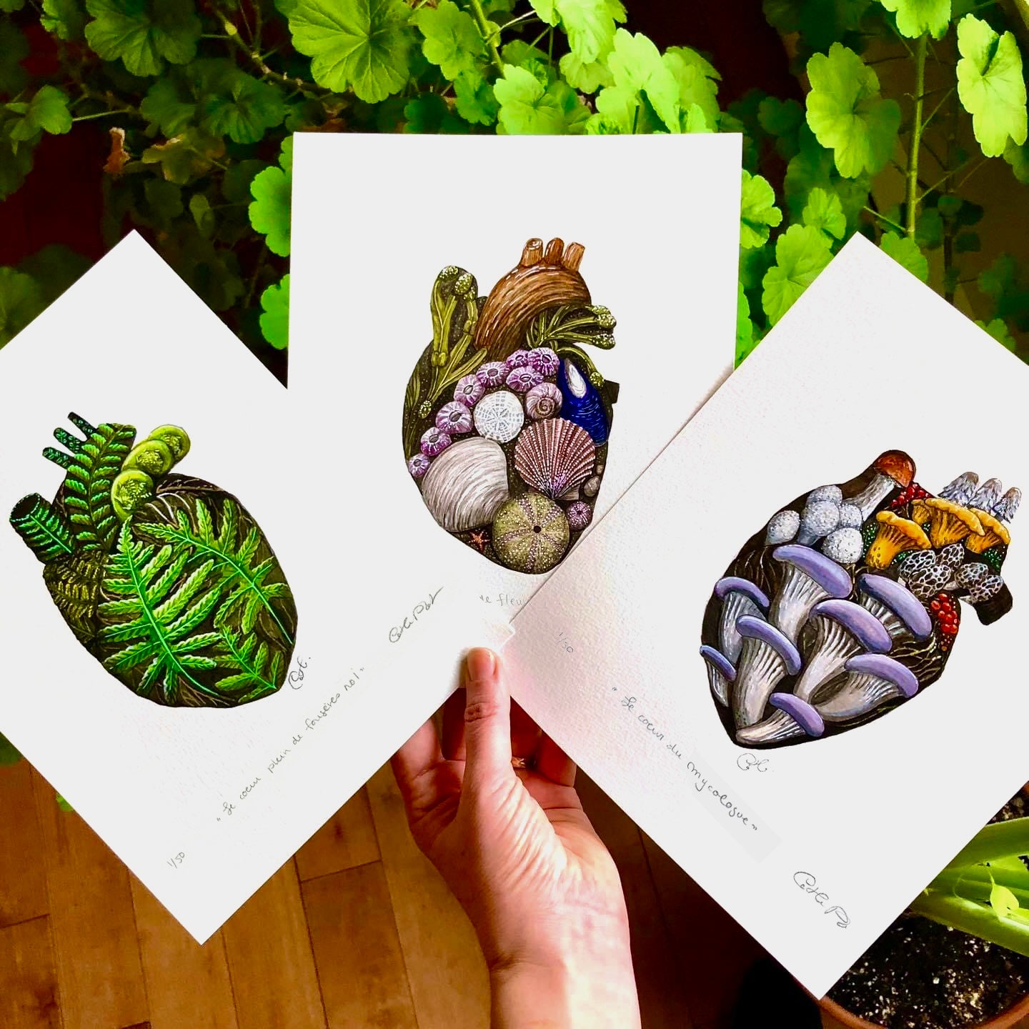 Triptych of art prints