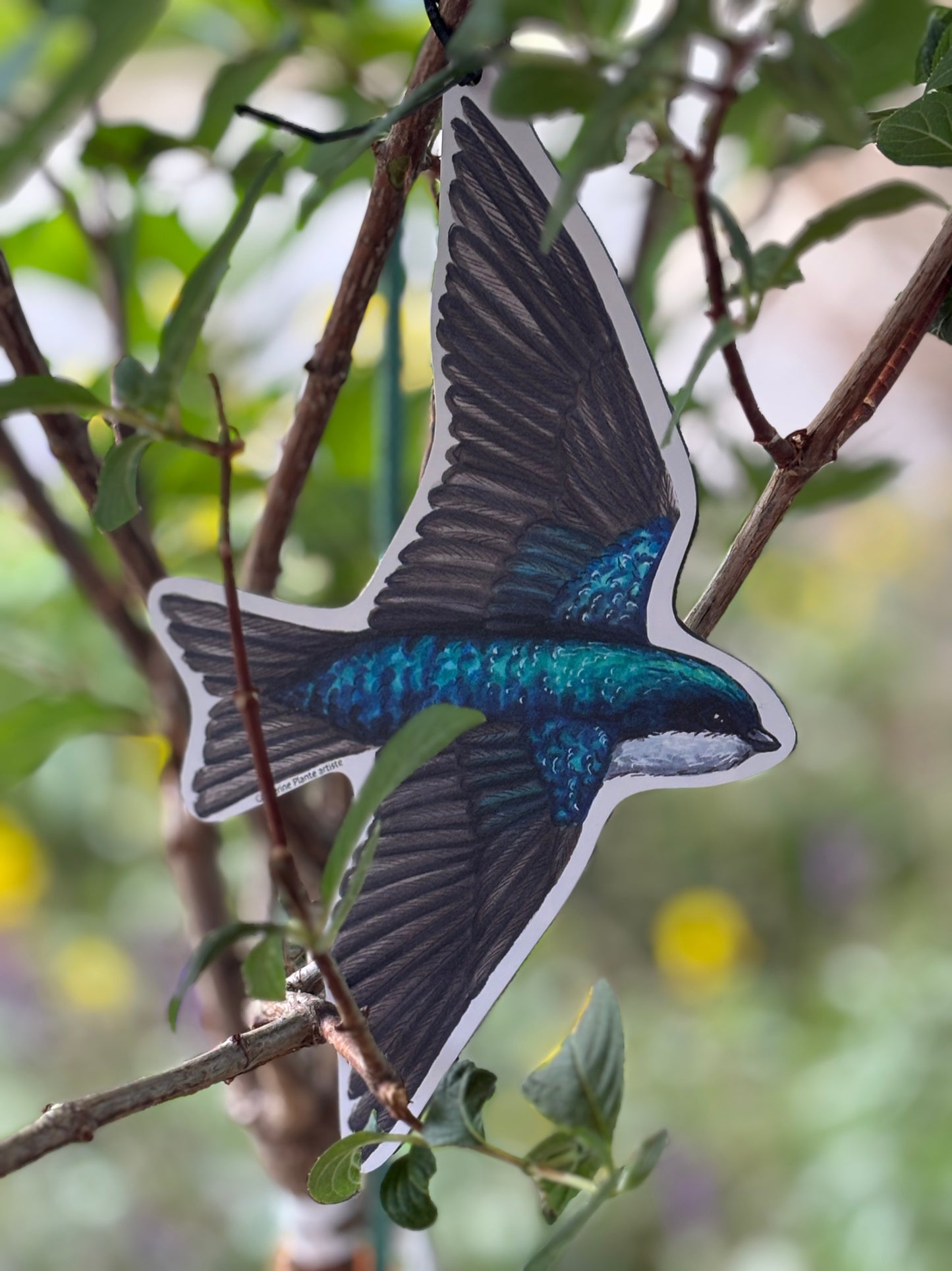Rallye d'oiseaux - Modèle de base: Ornithologue amateur