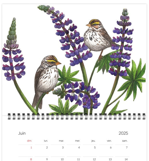 2025 Calendar