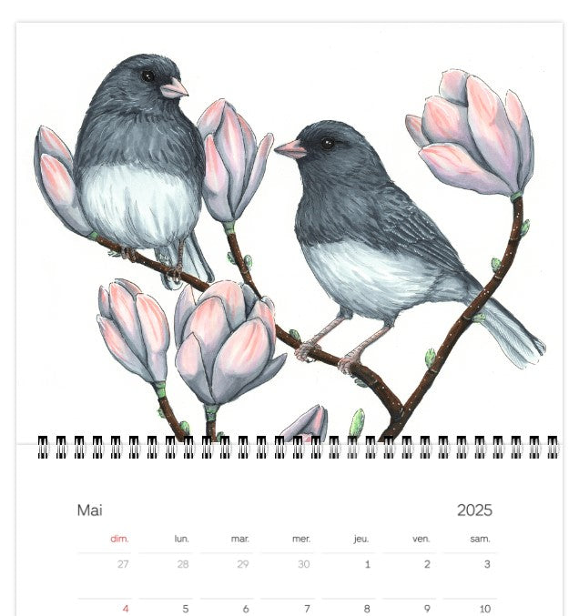 2025 Calendar