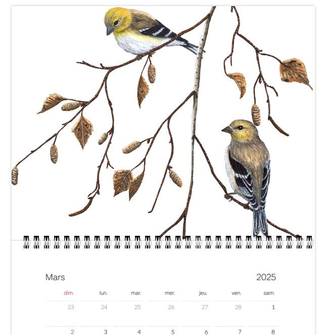 2025 Calendar