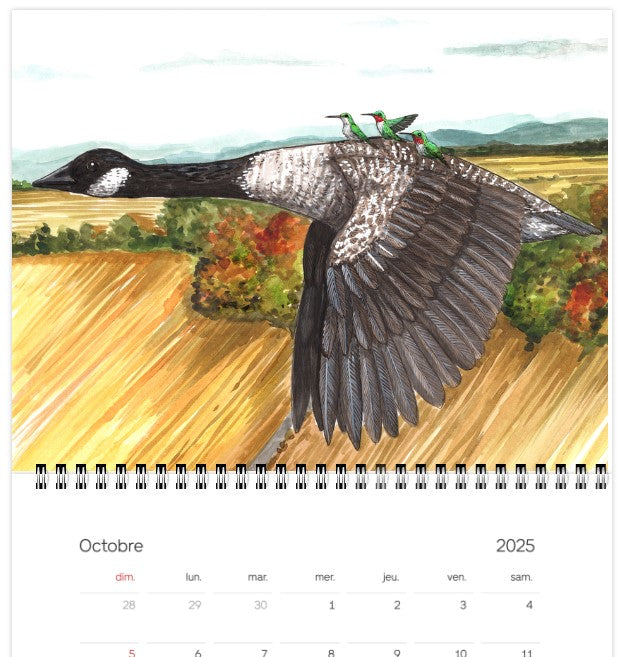 2025 Calendar