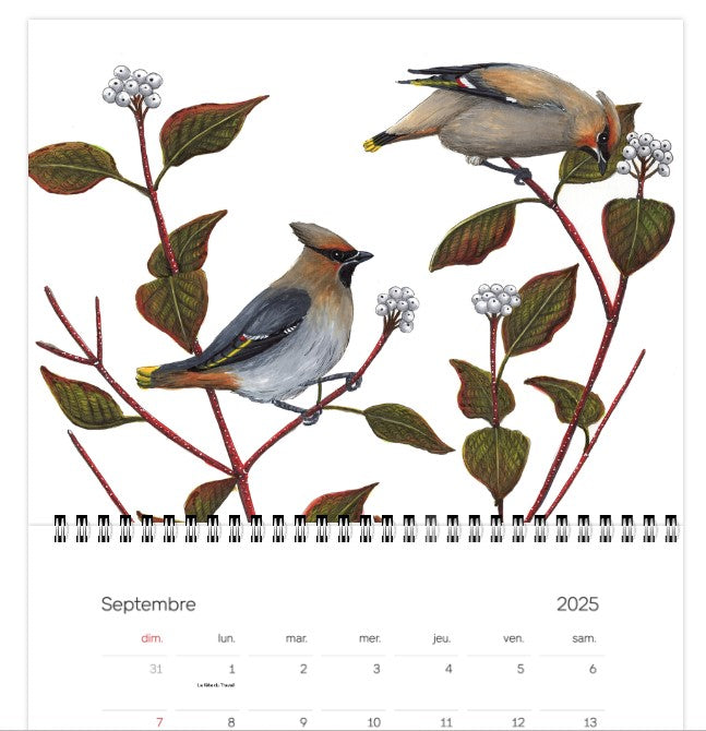 2025 Calendar