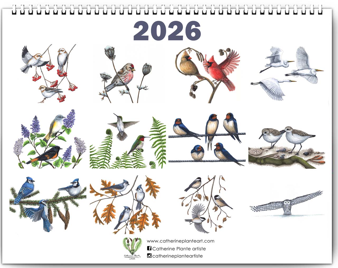 PRÉVENTE - Calendrier 2026