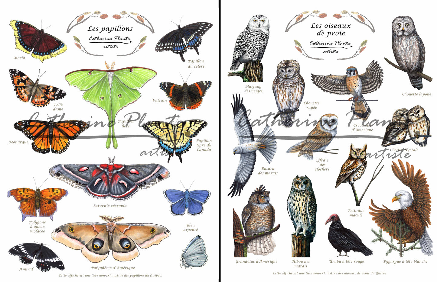 Triptyque d'affiches éducatives