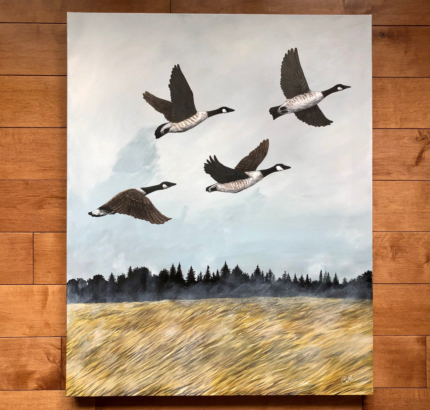 Original painting - Countryside flight