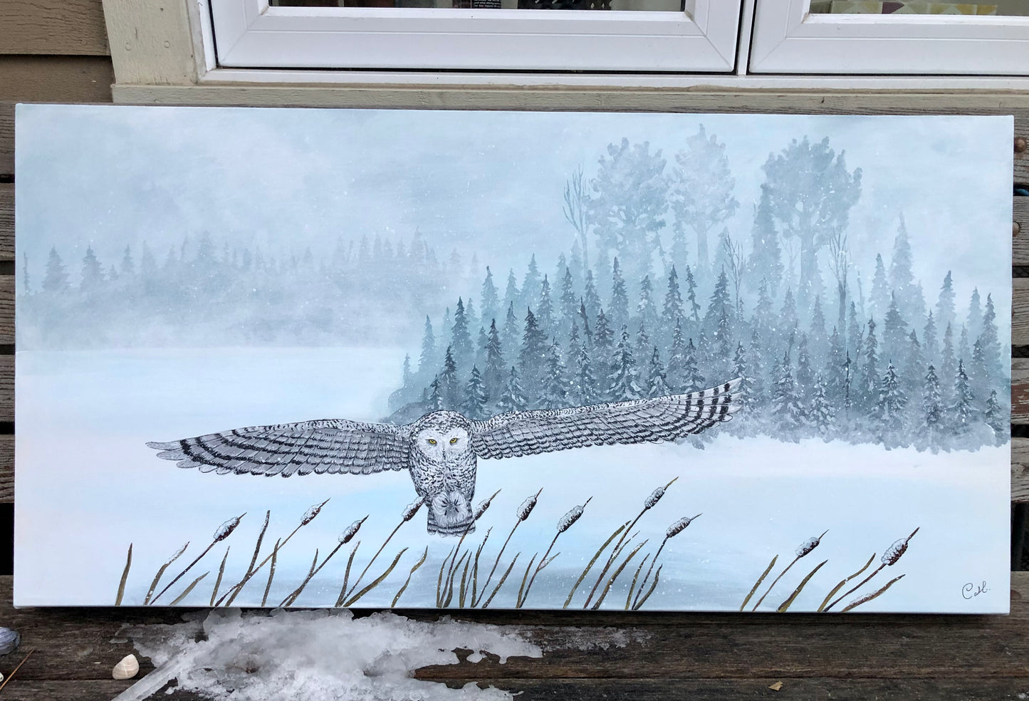 Peinture originale - Le harfang du blizzard