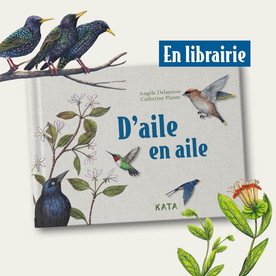 Livre - D'aile en aile dédicacé par l'artiste