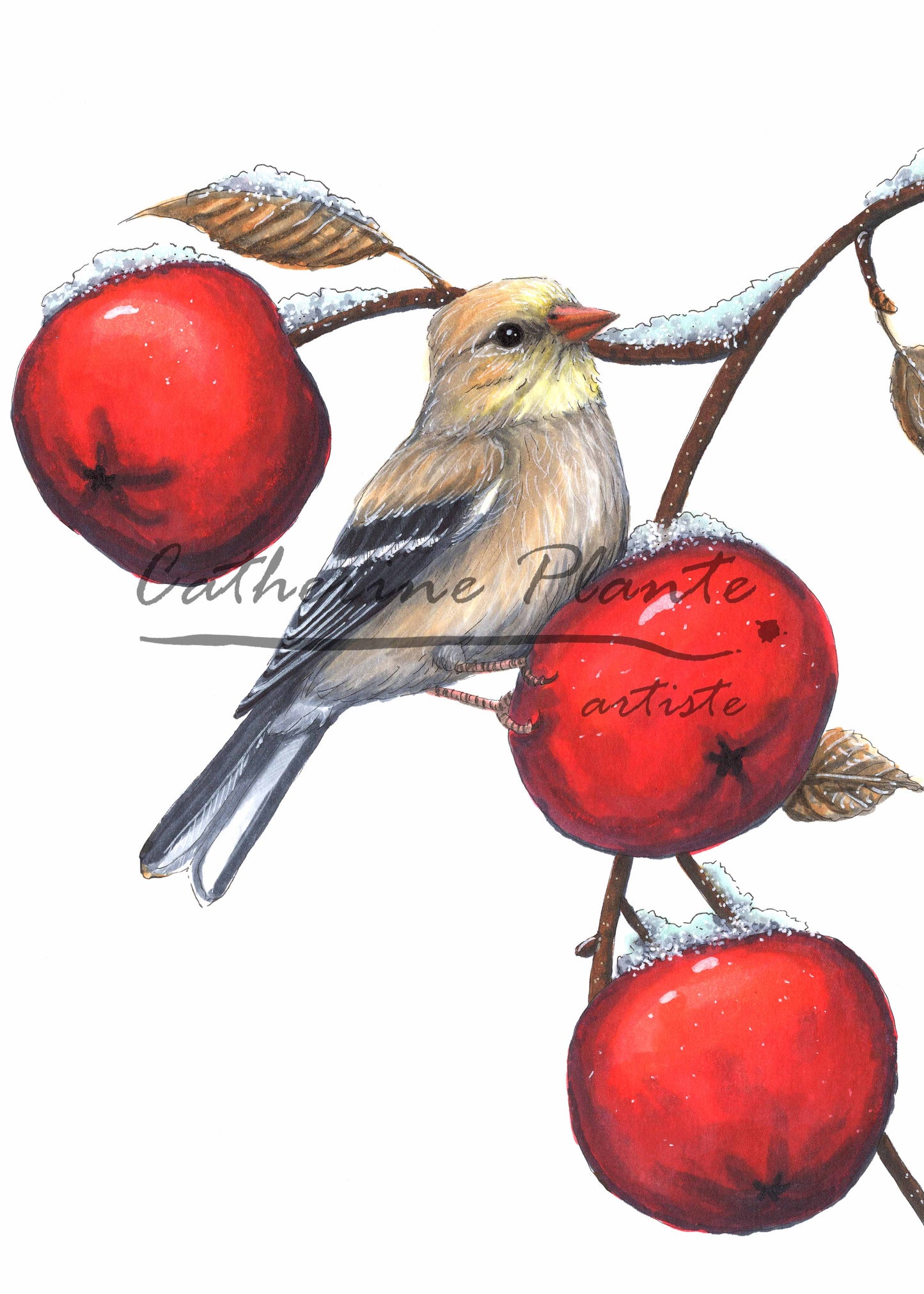 Map - The Goldfinch and the Apple Tree
