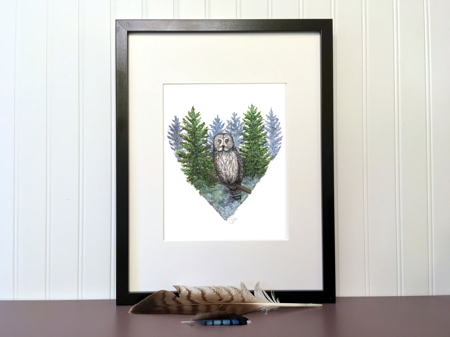 Illustration botanique ou animalière sur papier