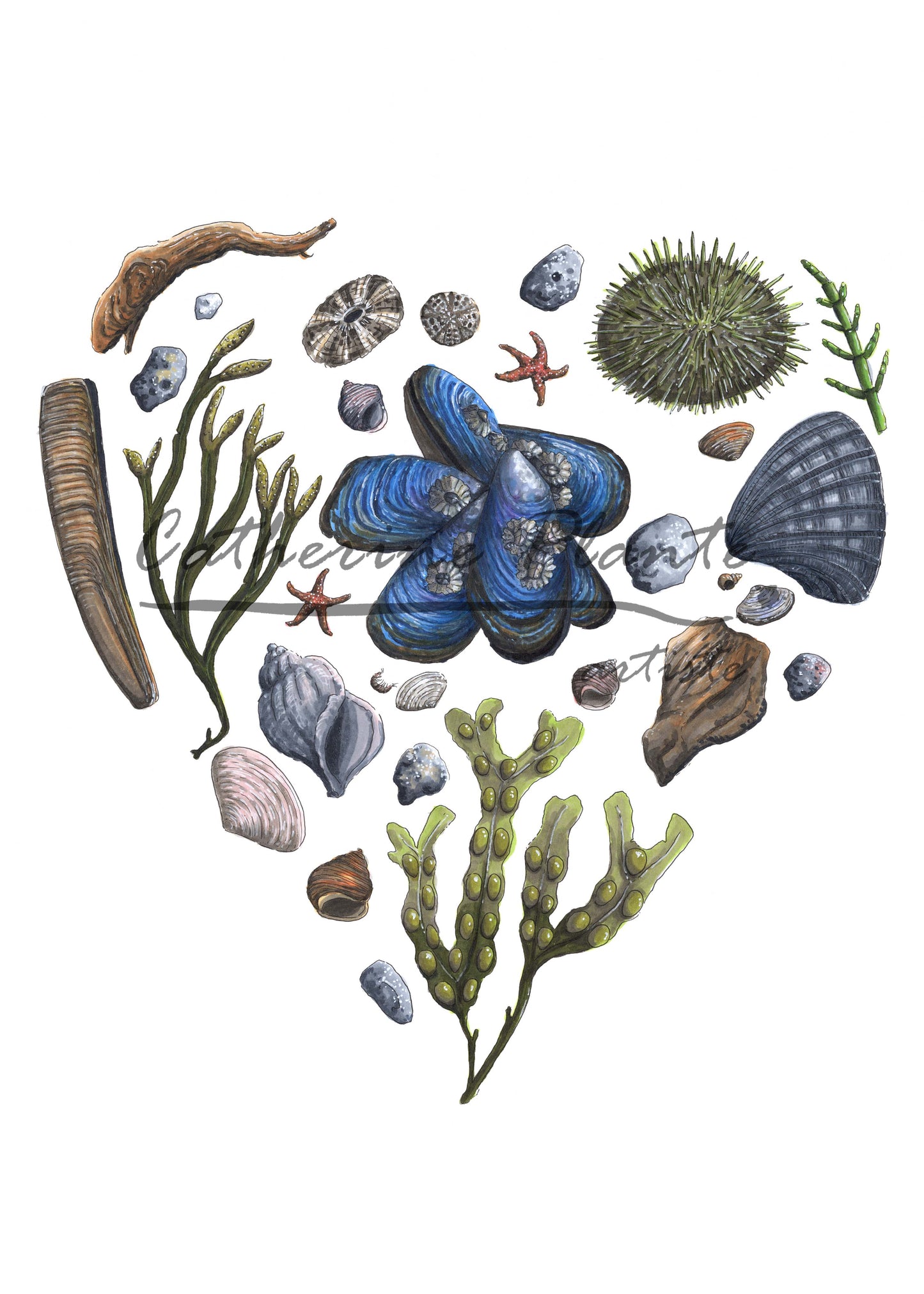 Map - Heart of the Estuary
